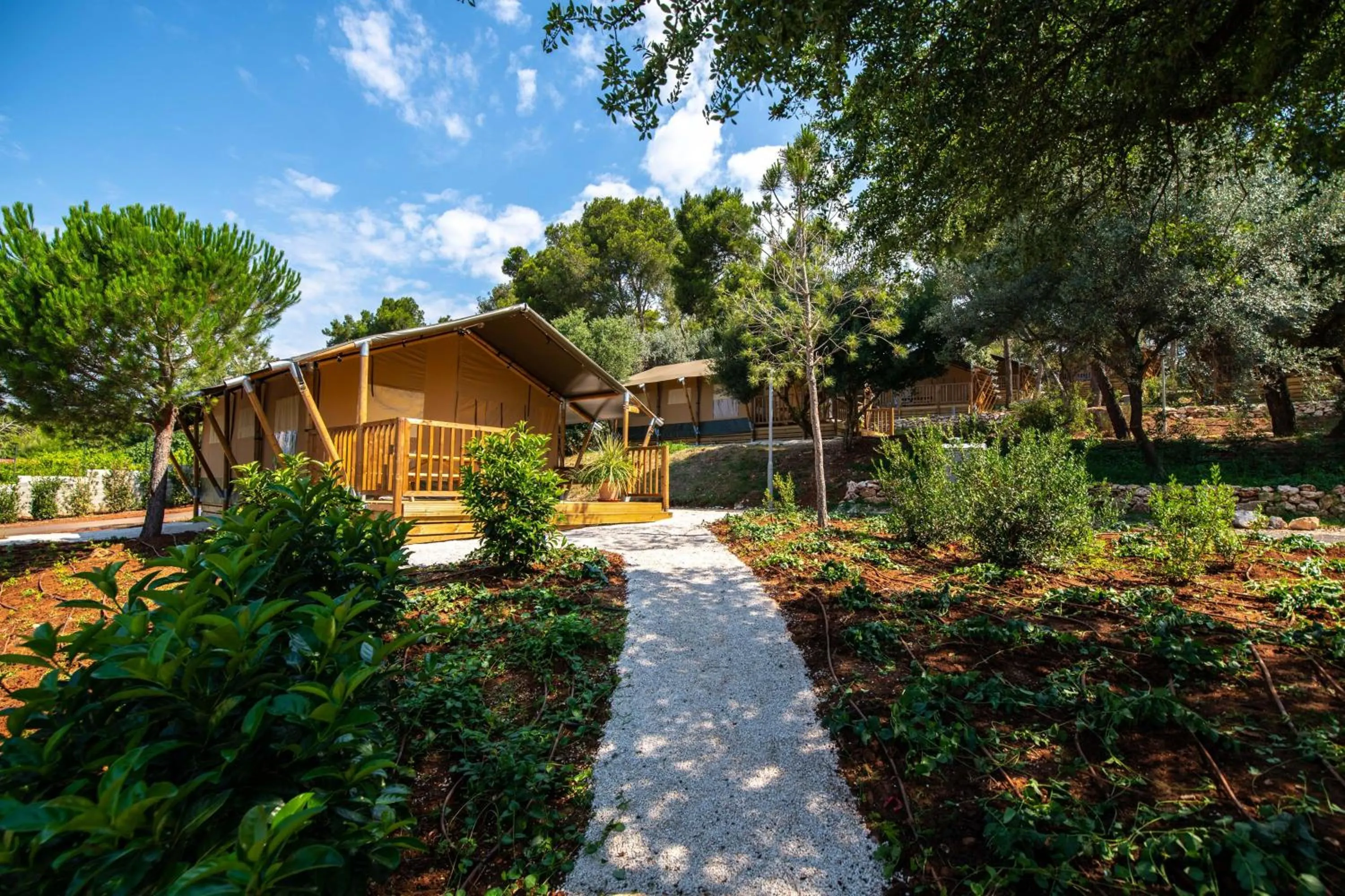 Photo of the whole room in Arena One 99 Glamping