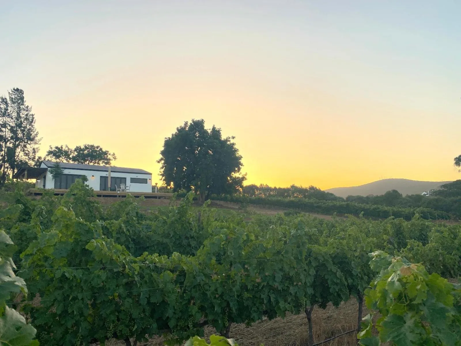 Bed in The Log Collective