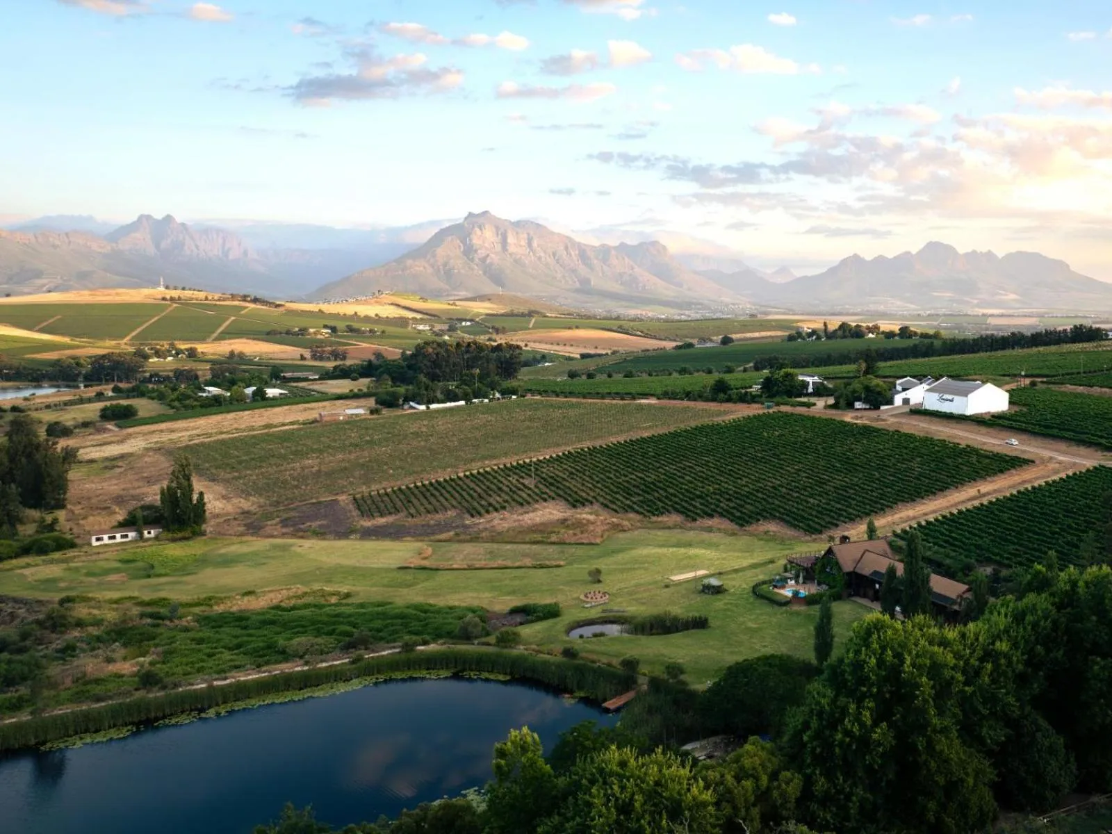 Neighbourhood in The Log Collective