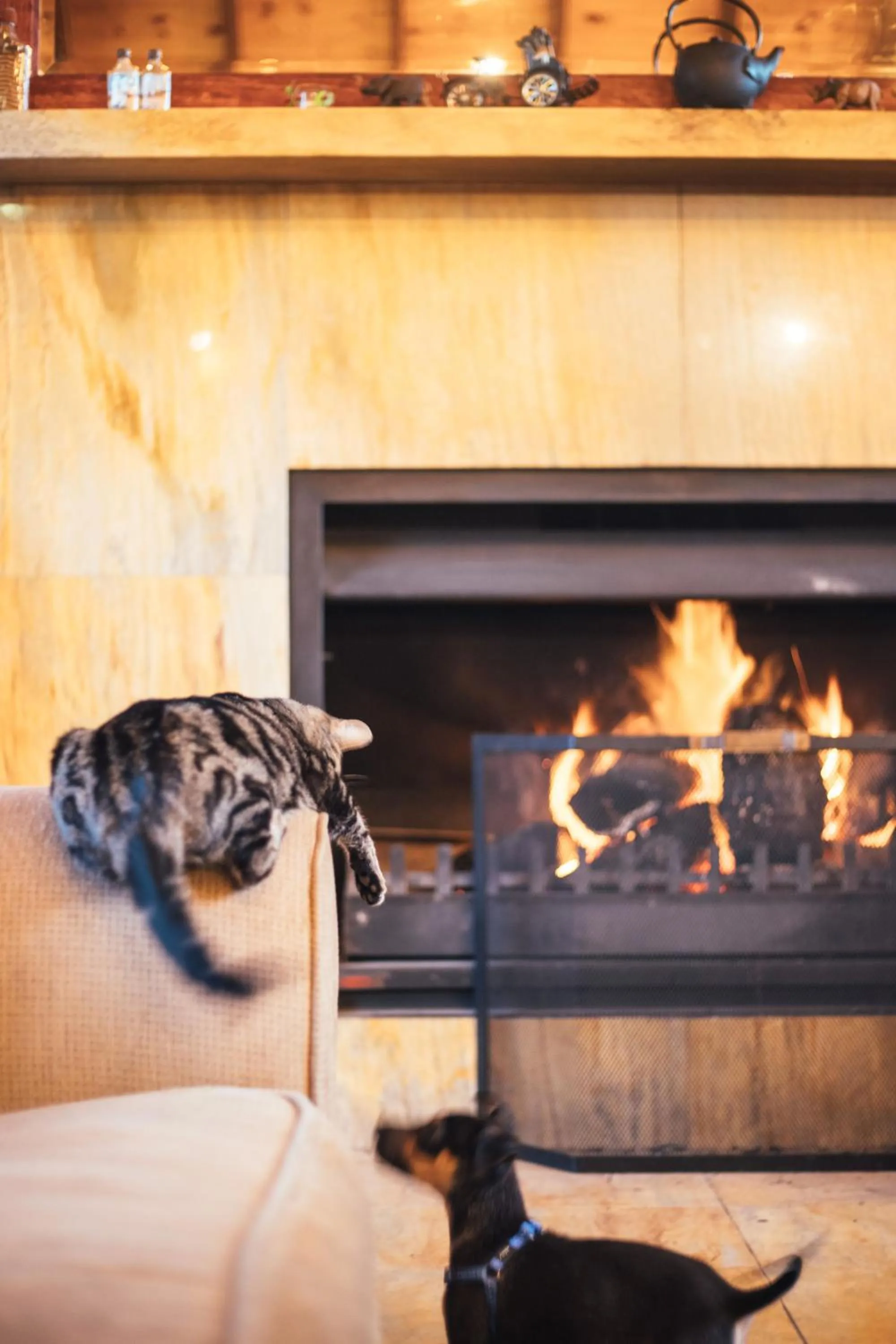 Lounge or bar in The Log Collective