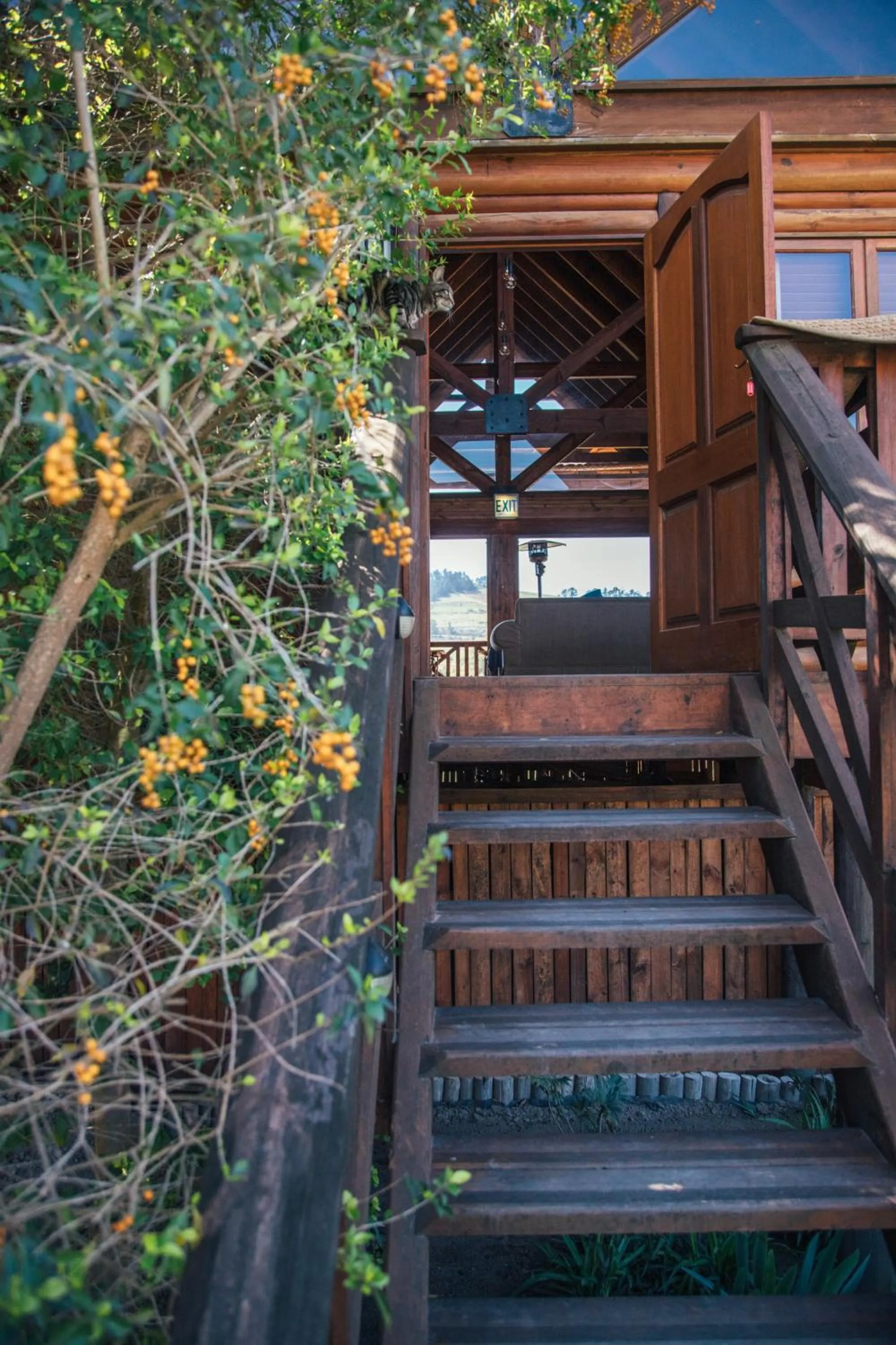 Property building in The Log Collective