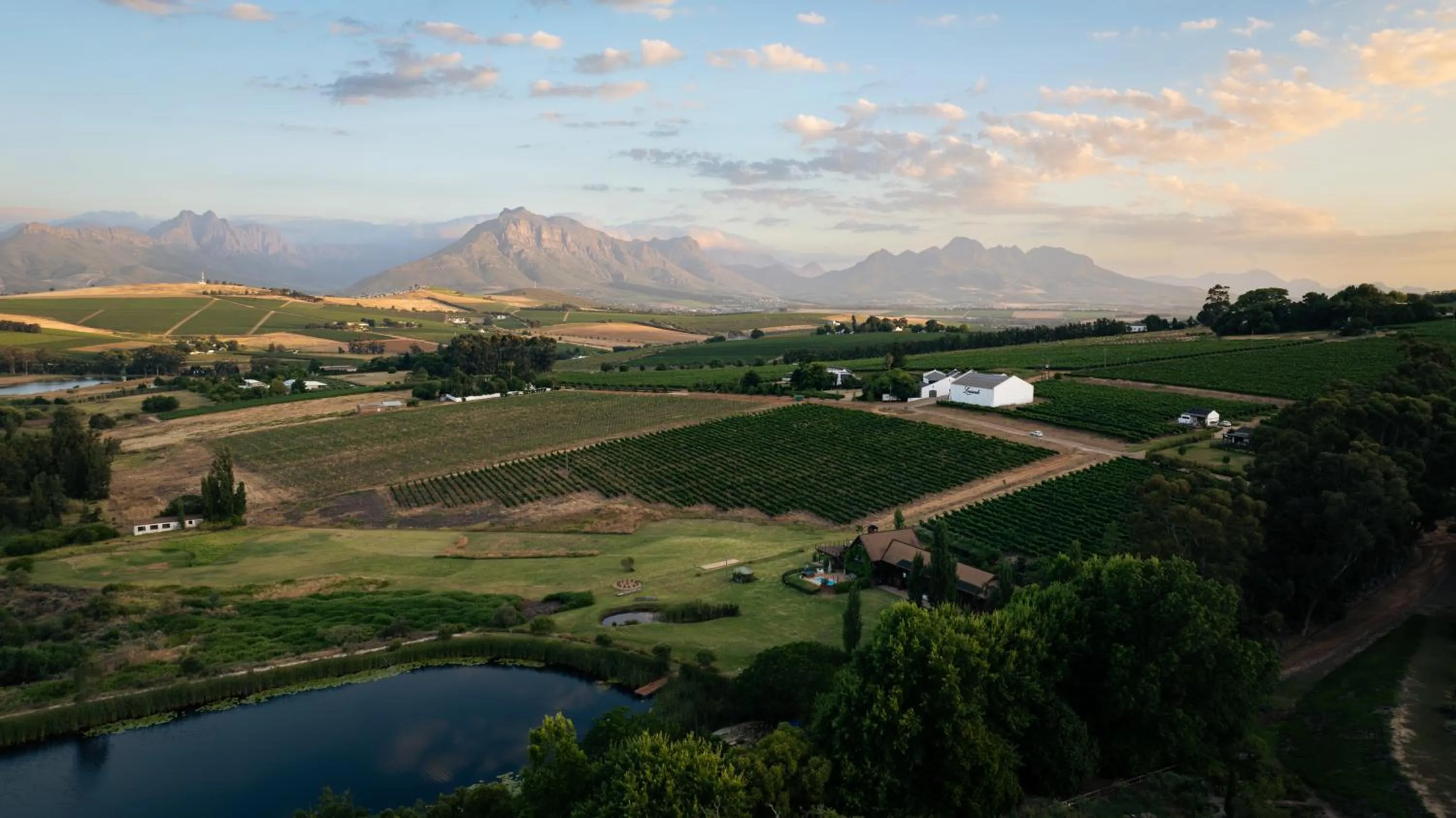 Bird's eye view in The Log Collective