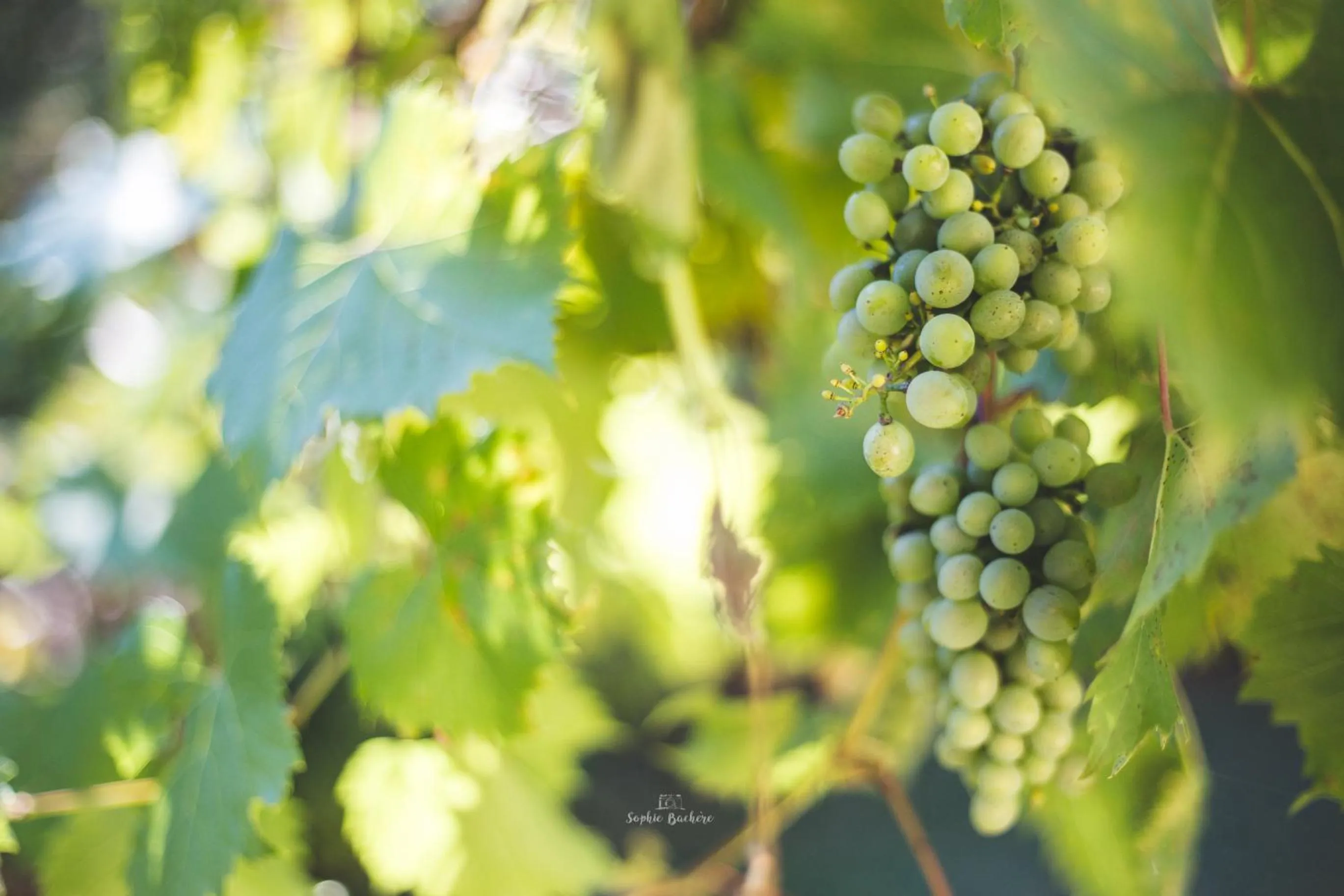 Property building in Au Bien Venu