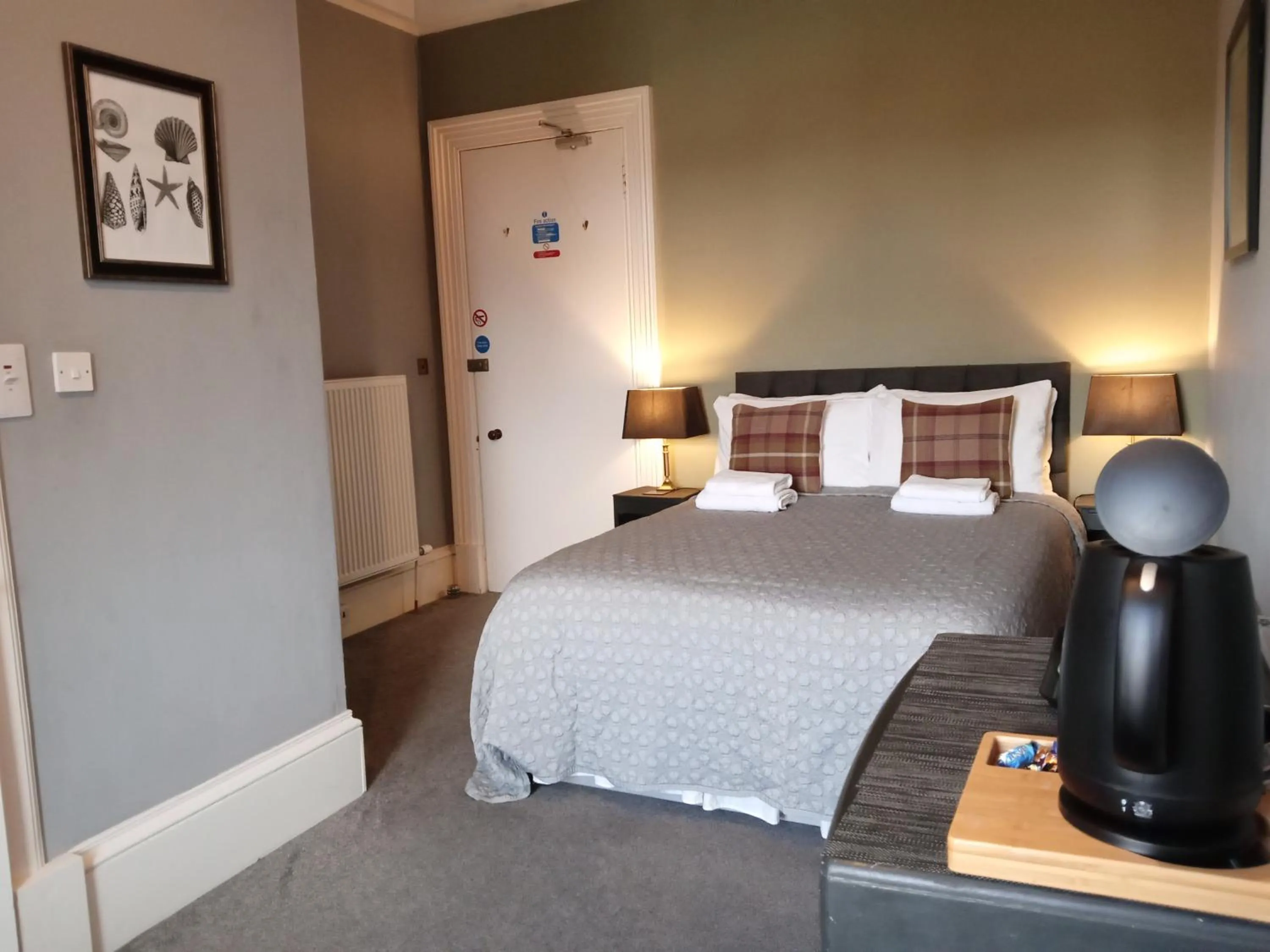 Double Room - single occupancy in Greenland House B&B
