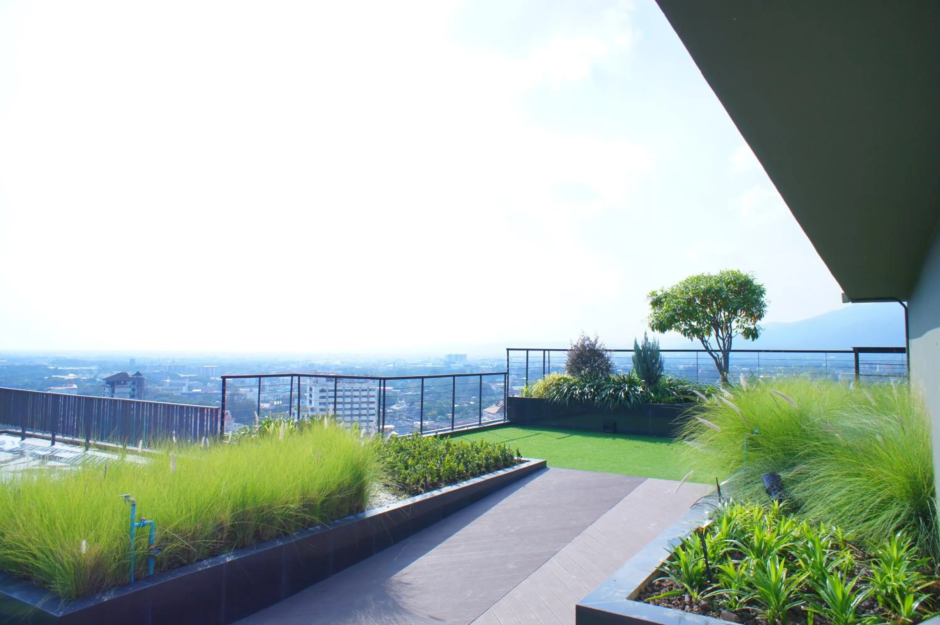 Garden in The Astra Chiang Mai