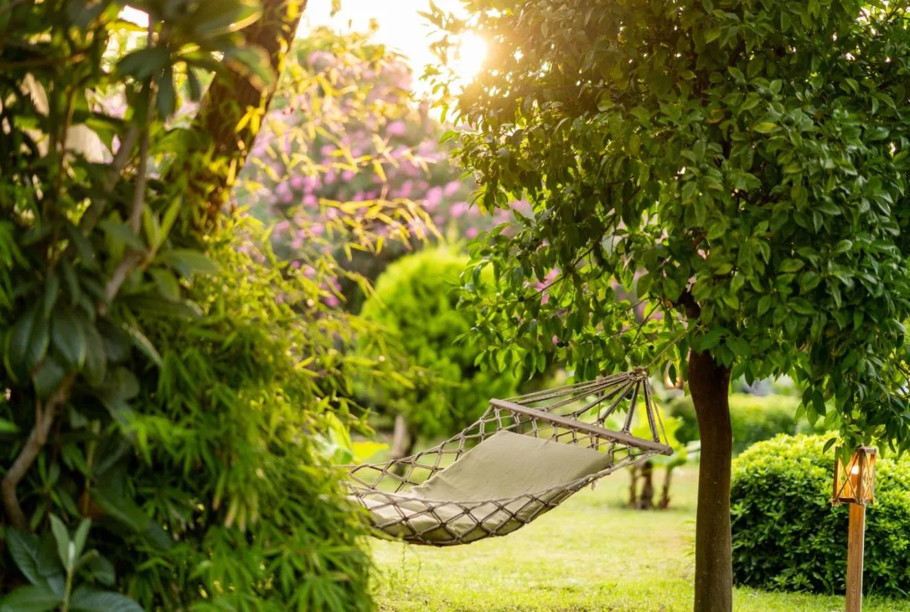 Etenna Beach Bungalows