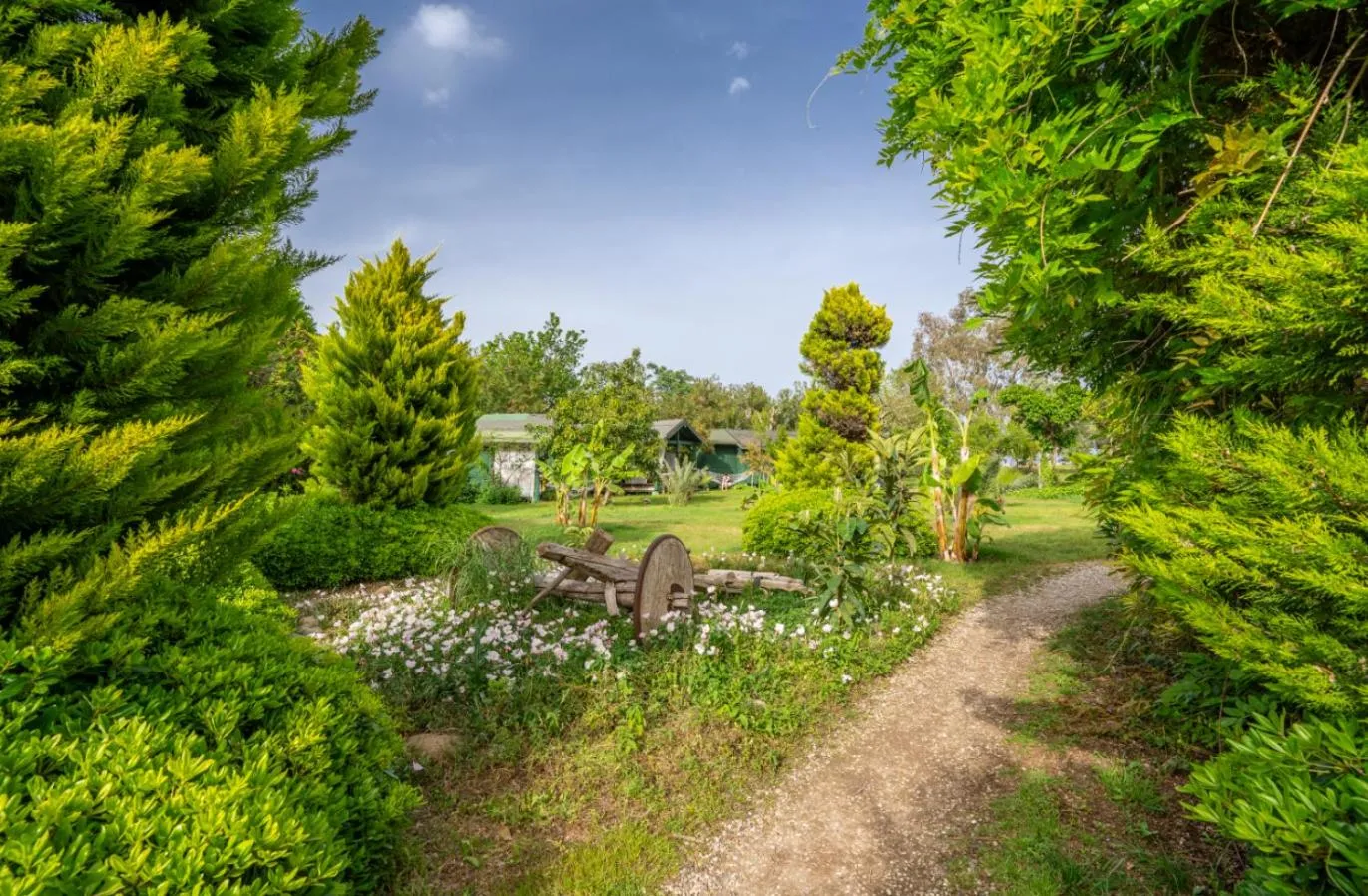 Etenna Beach Bungalows