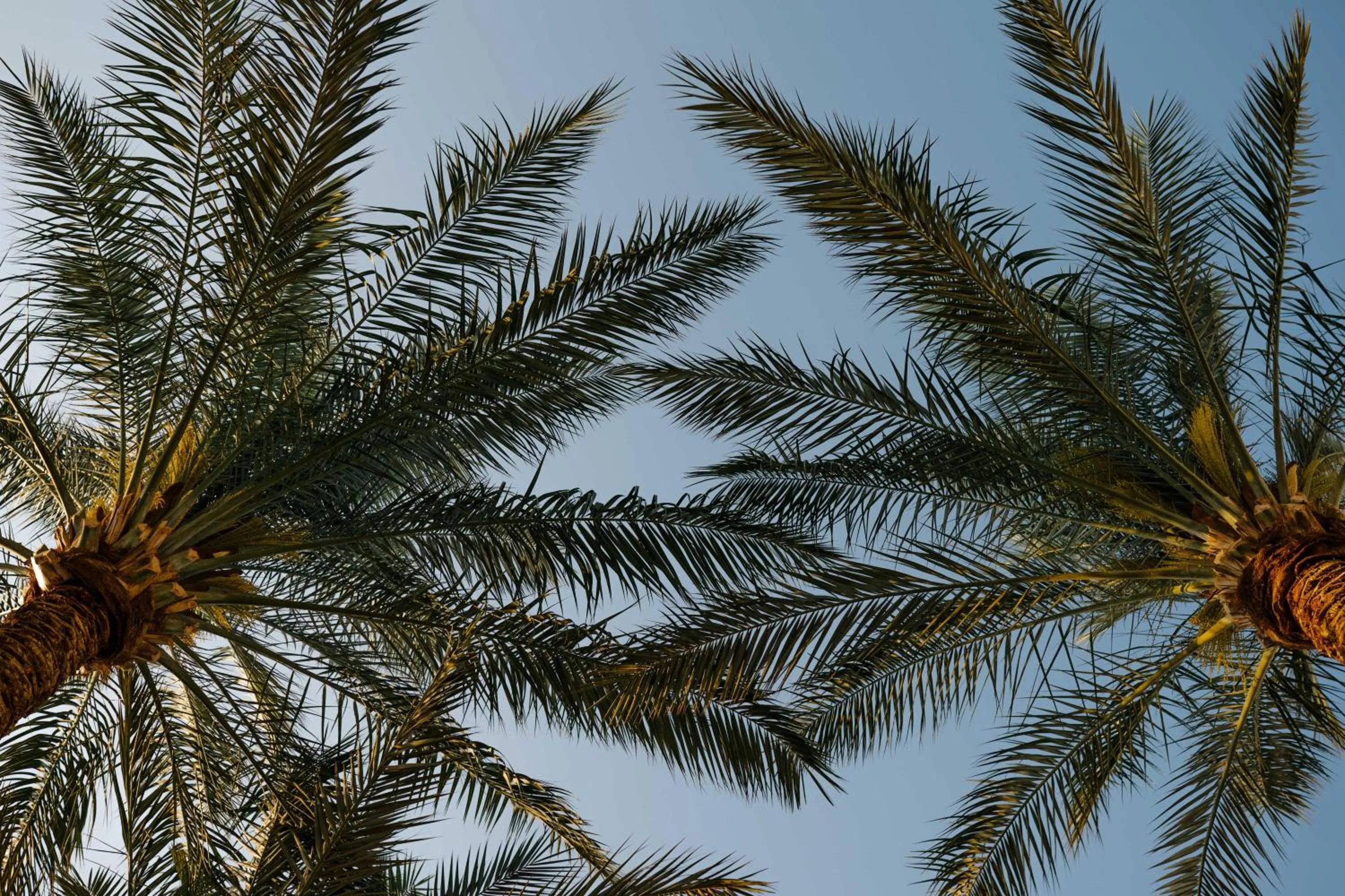 Garden in Baron Palms Adults Friendly Only 16 years plus Boutique Hotel Style