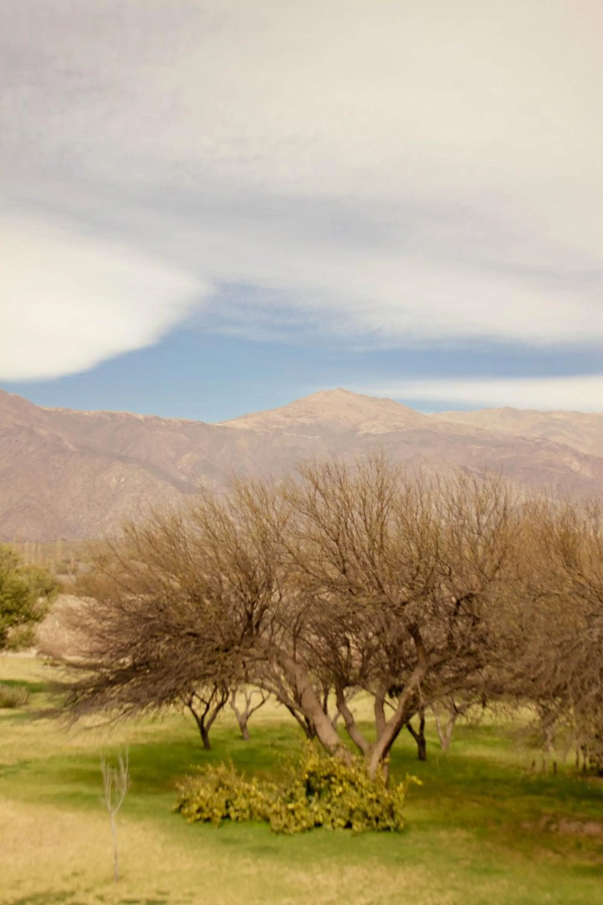 Area and facilities in Altalaluna Hotel Boutique & Spa