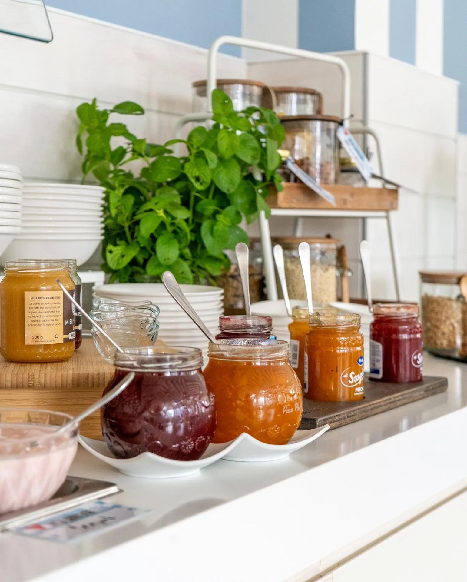 Continental breakfast in Hotel Panorama