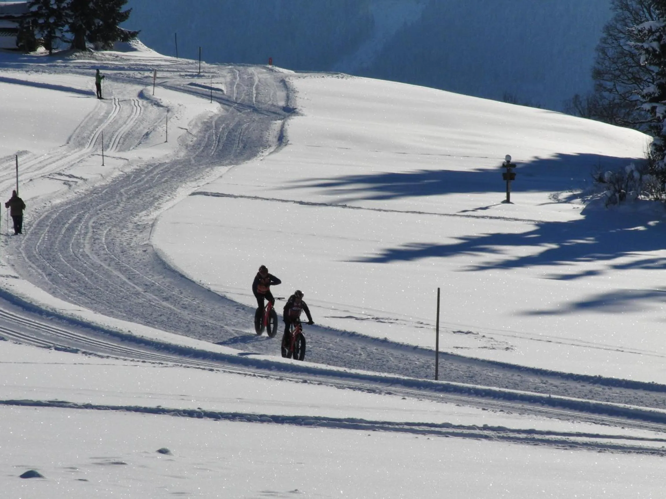 Cycling in Aparthotel Sunrise