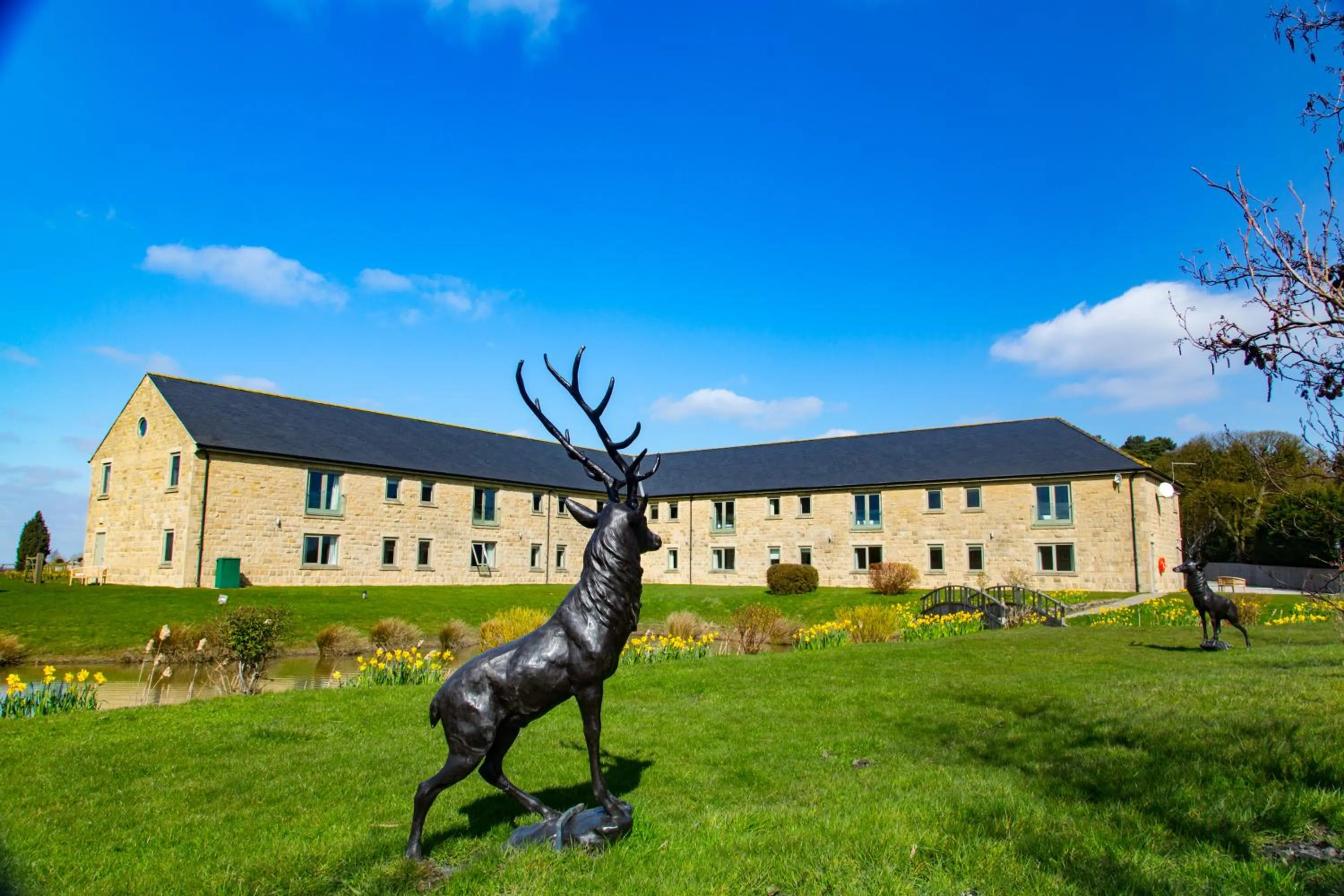 Garden in Peak Edge Hotel
