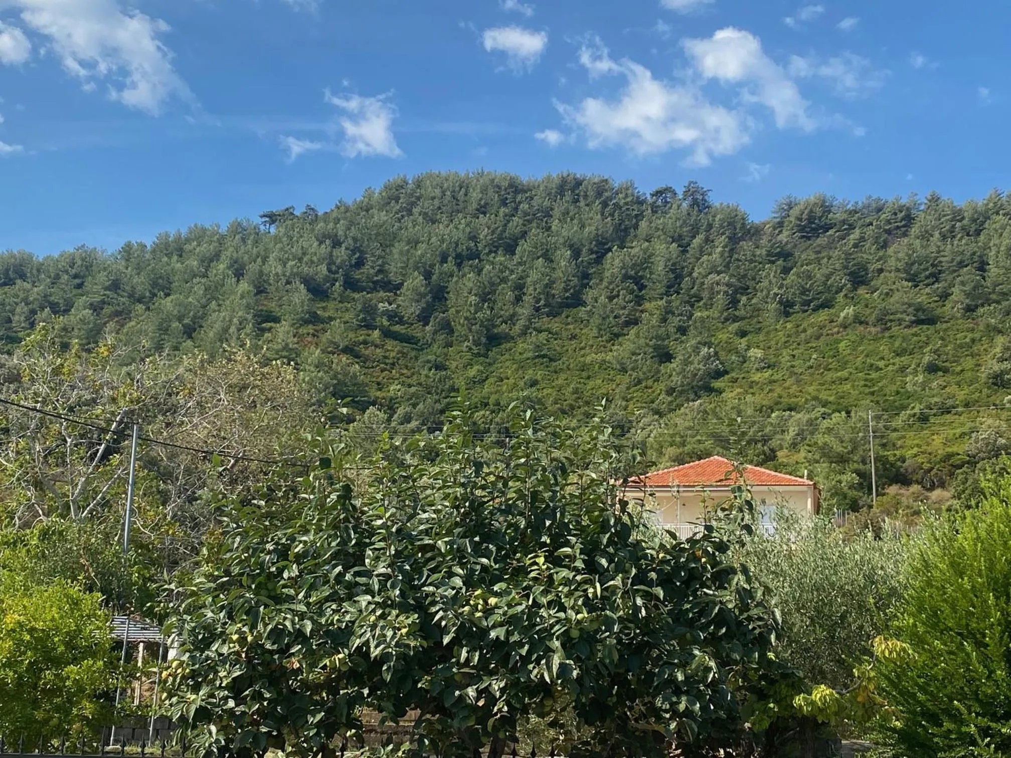 Day in Blue Bay Beach Hotel