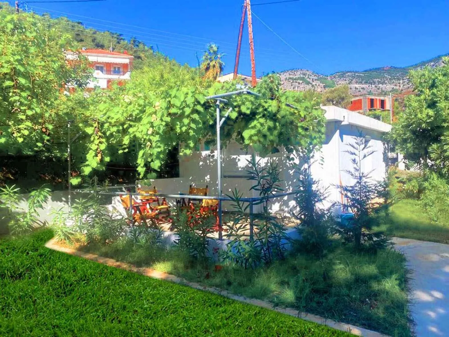 Natural landscape in Blue Bay Beach Hotel