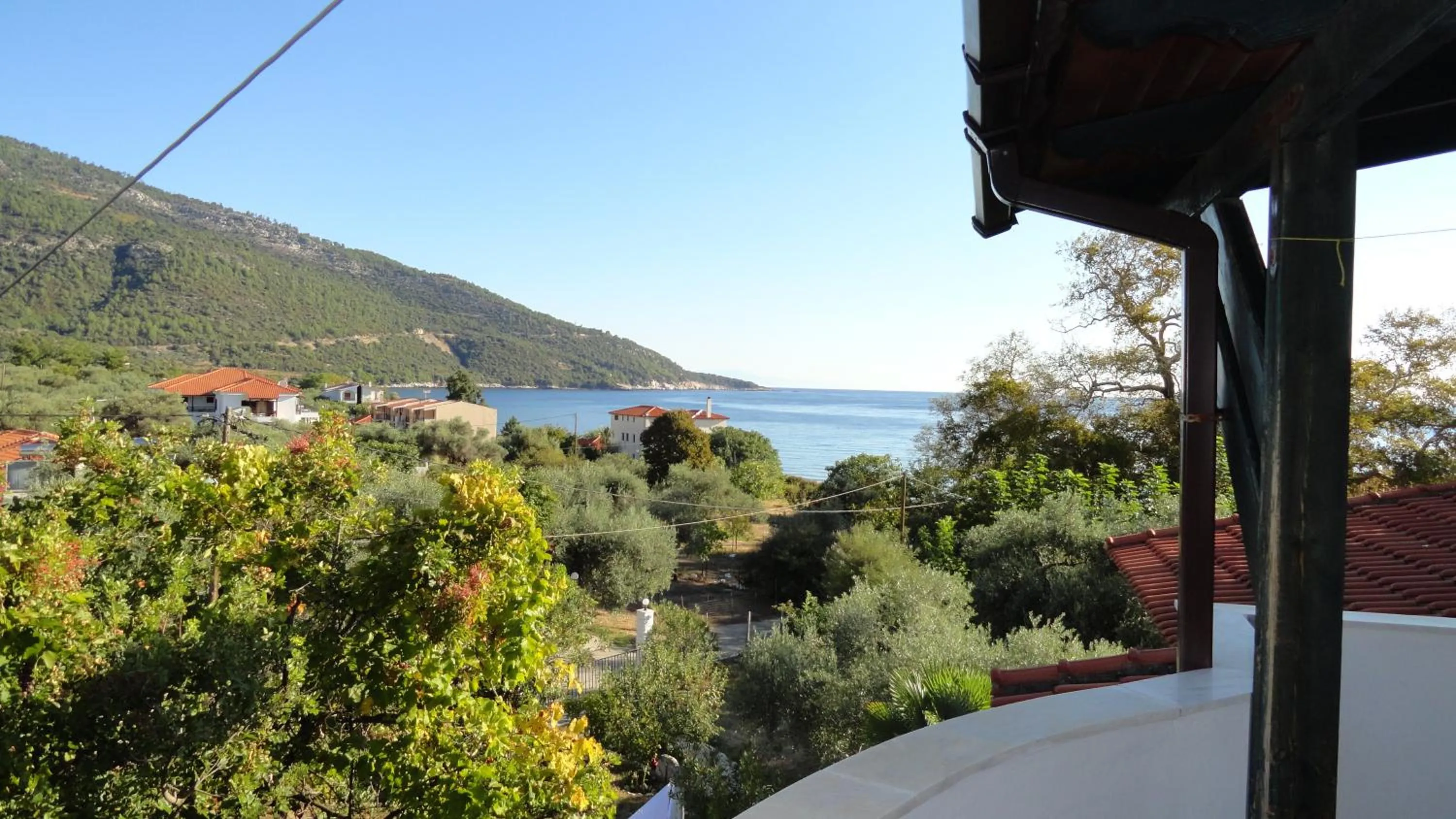 Natural landscape in Blue Bay Beach Hotel