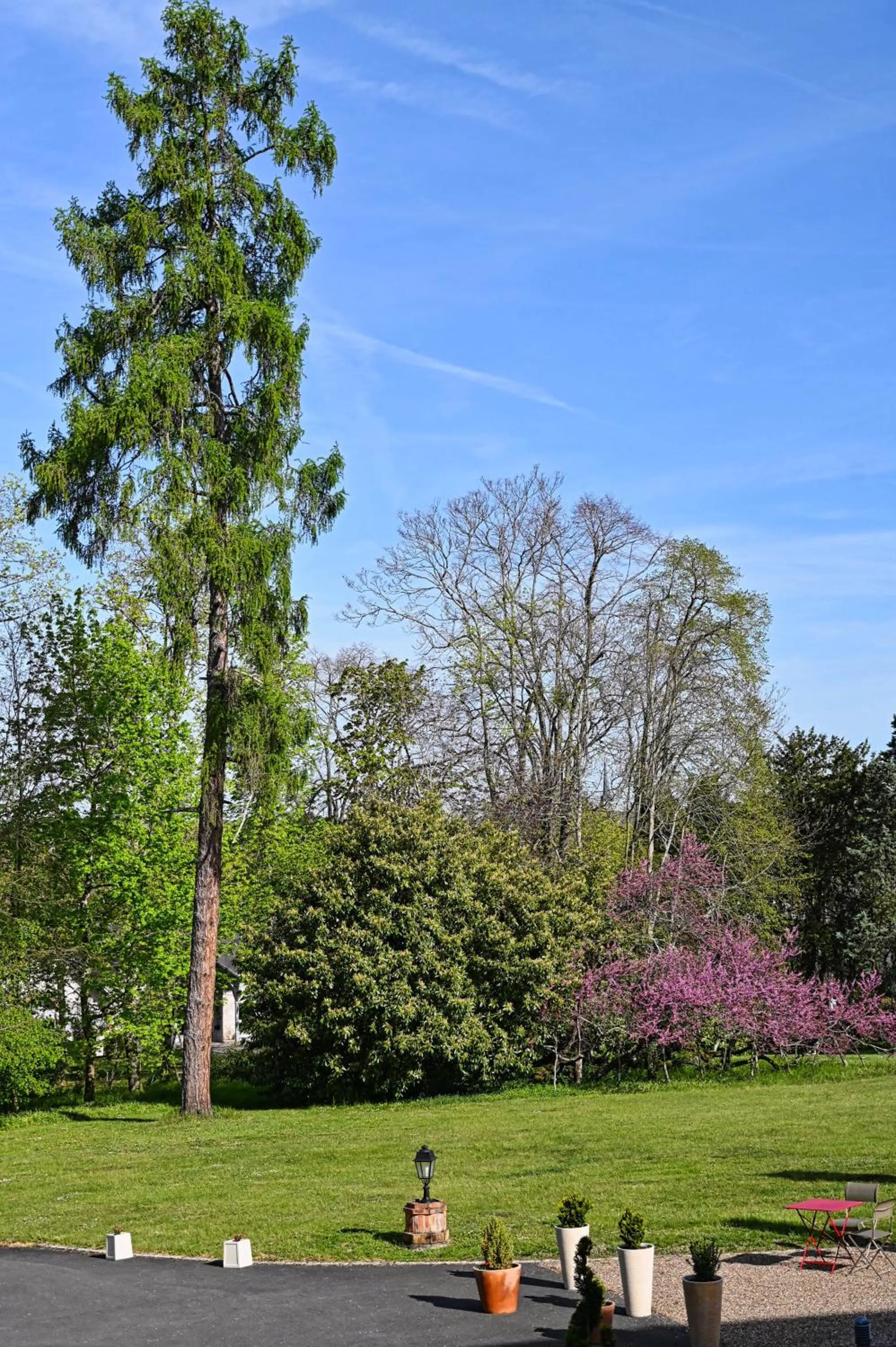 Garden view in Chateau de la Rozelle