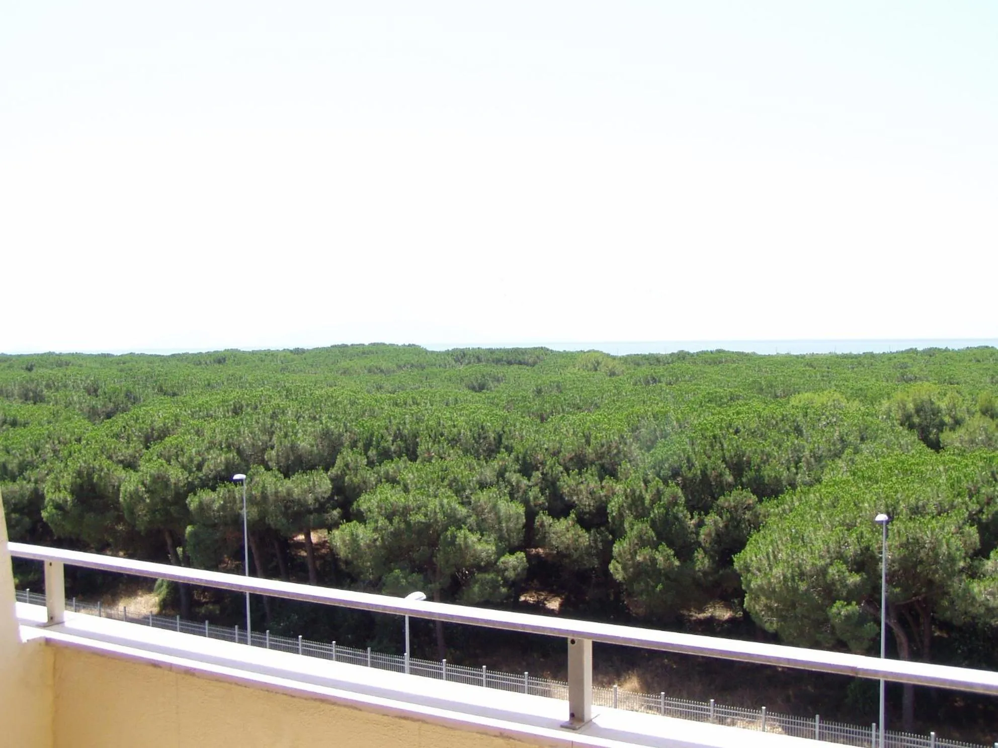 View (from property/room) in Hotel Le Dune