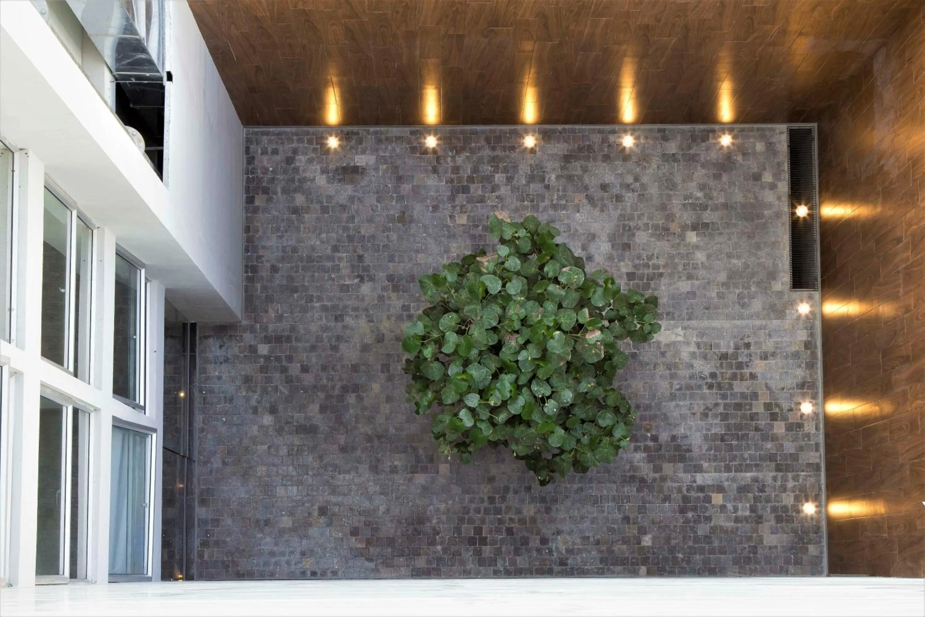 Property building in Tierra Viva Miraflores Mendiburu