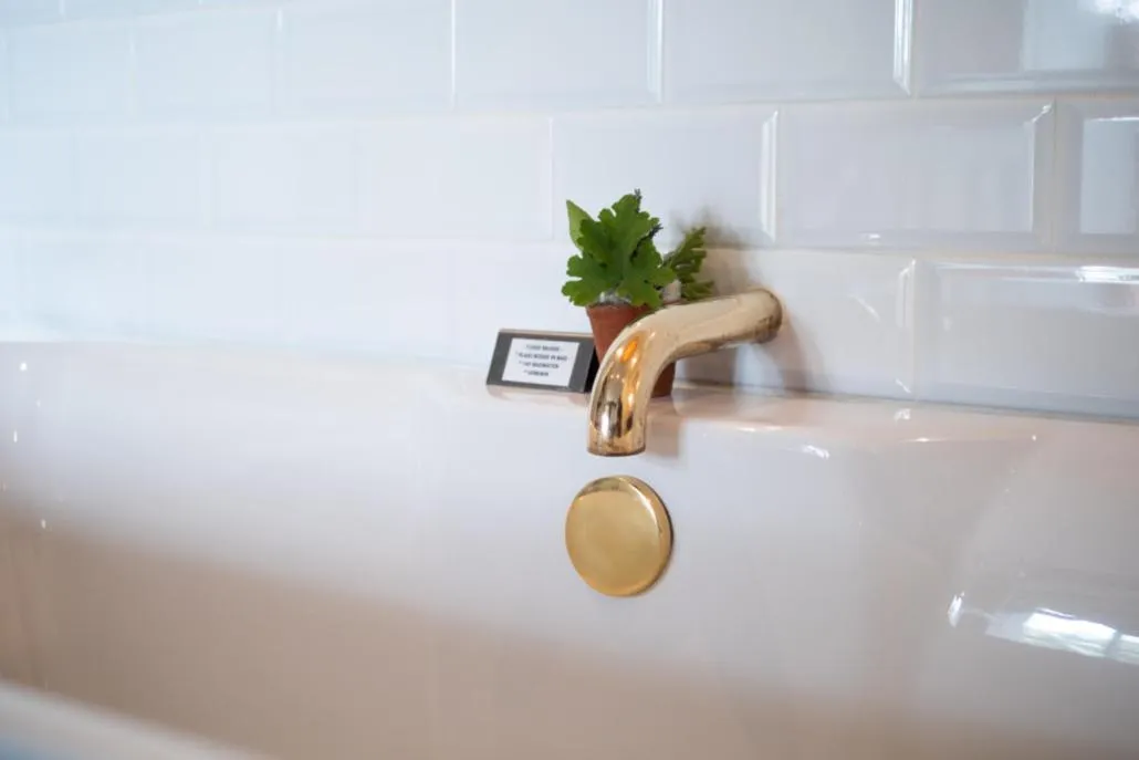 Liedjiesbos Urban Olive Farm