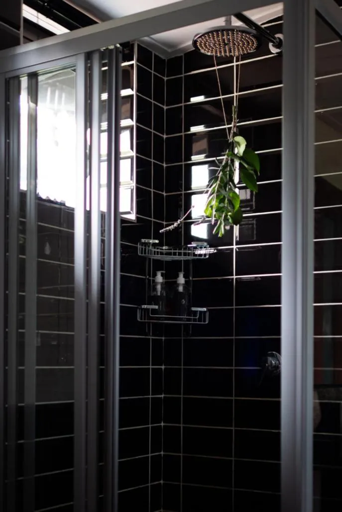 Liedjiesbos Urban Olive Farm