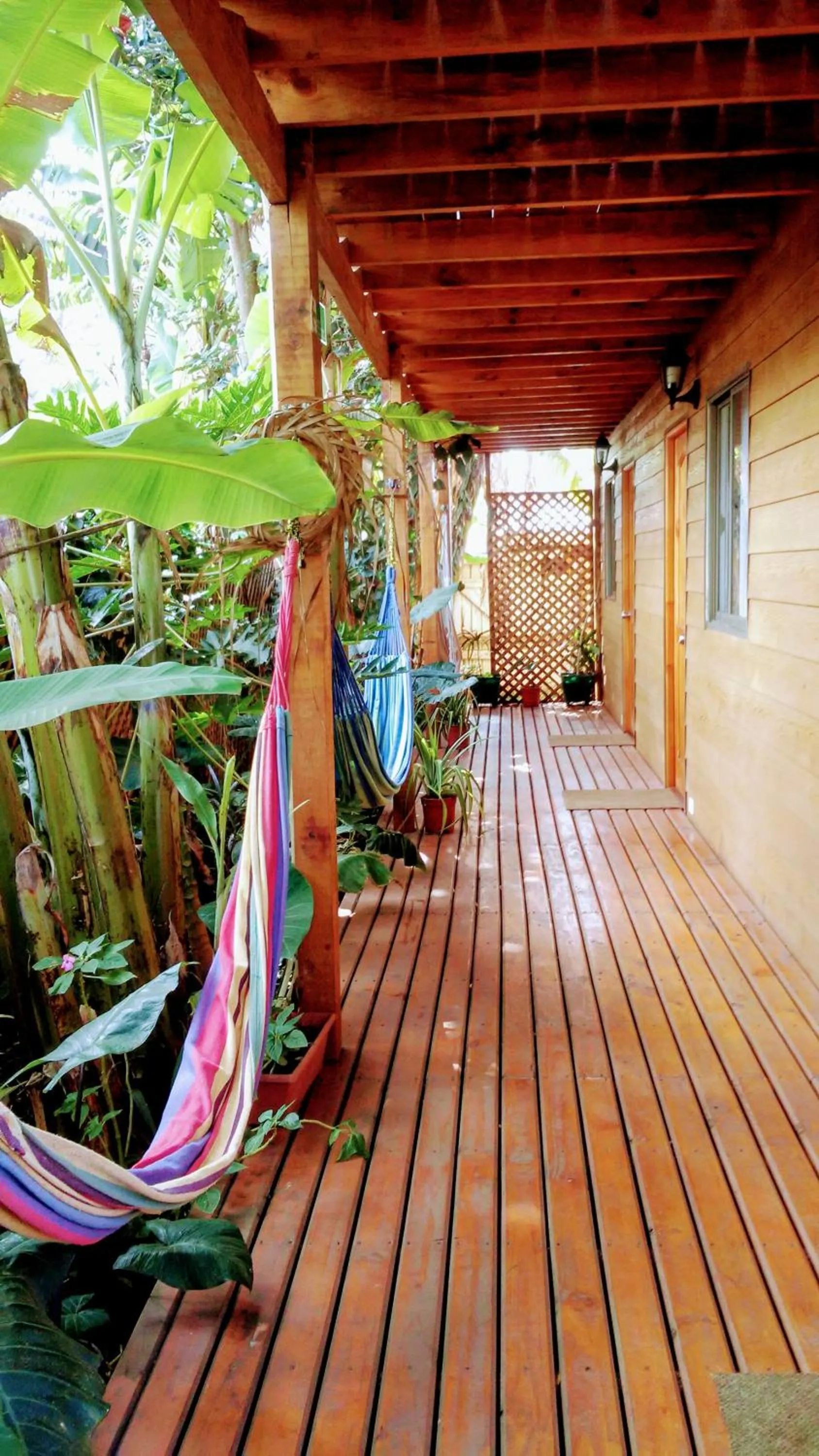 Facade/entrance in Cabañas Te Maori