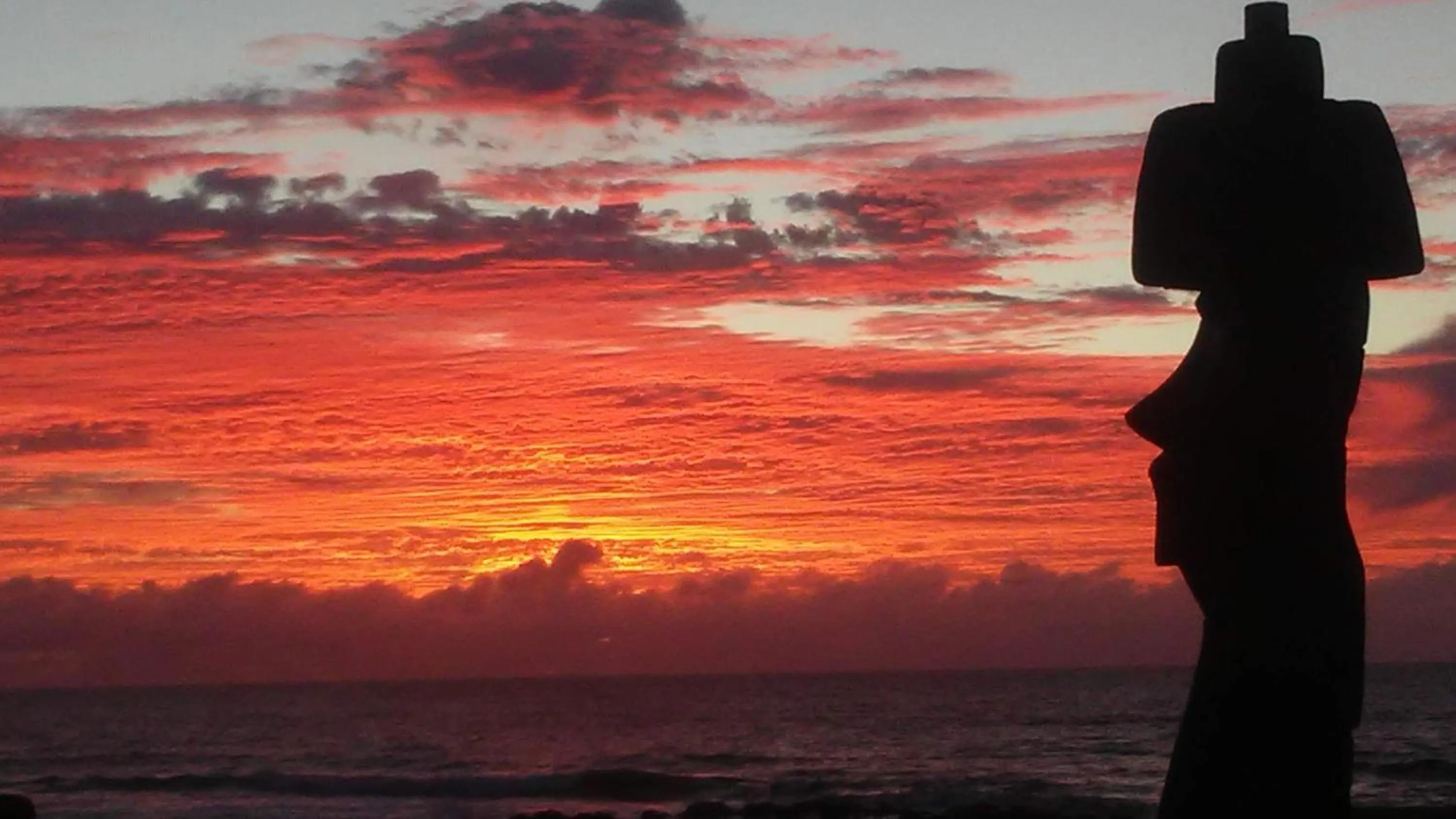 Natural landscape in Cabañas Te Maori