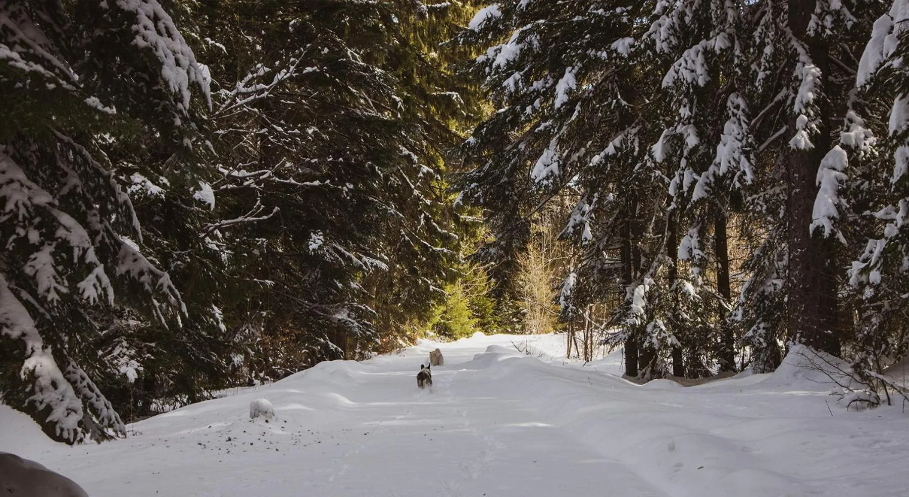Natural landscape in Euphoria Club Hotel
