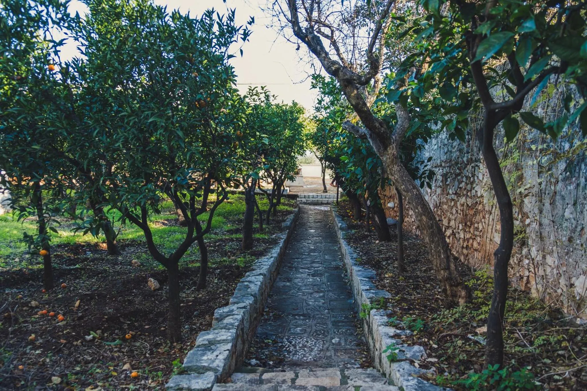 Property building in Masseria Santa Teresa