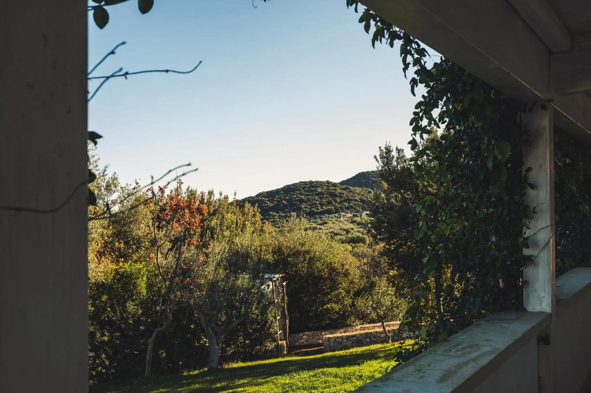 Garden view in Masseria Santa Teresa