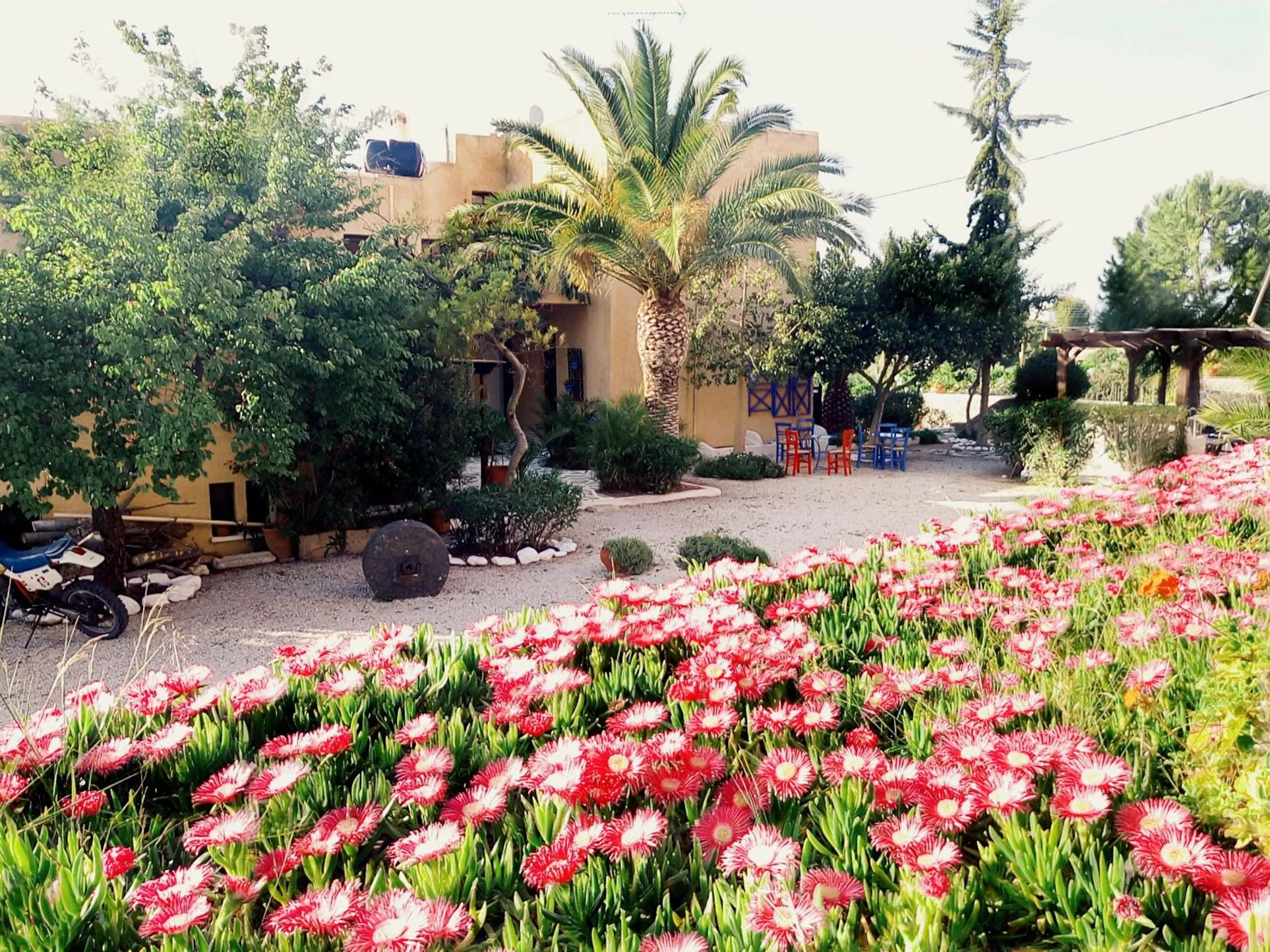 Restaurant/places to eat in Vagia Beach Apartments, Aegina Island