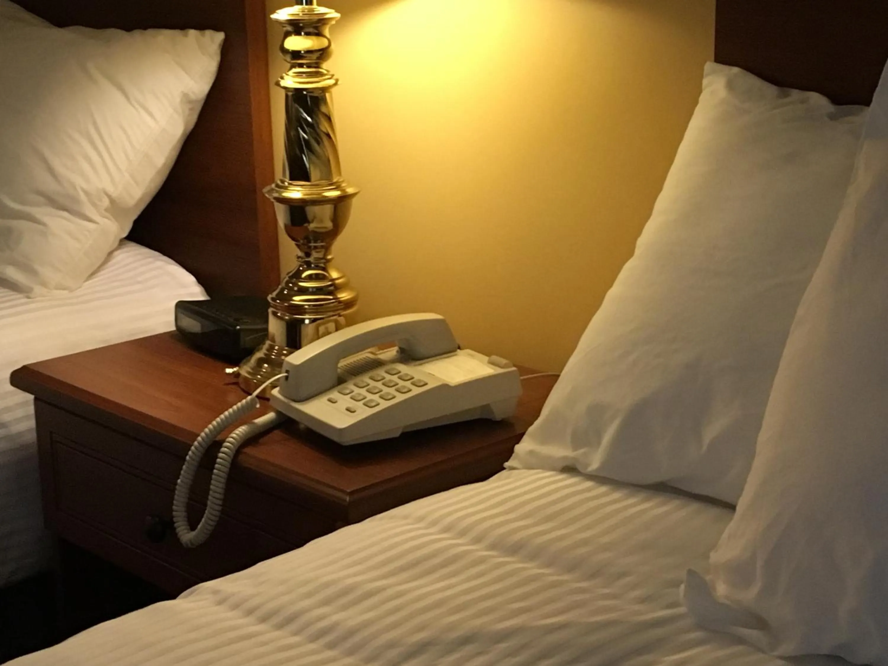 Bedroom, Bed in Motel Cofotel