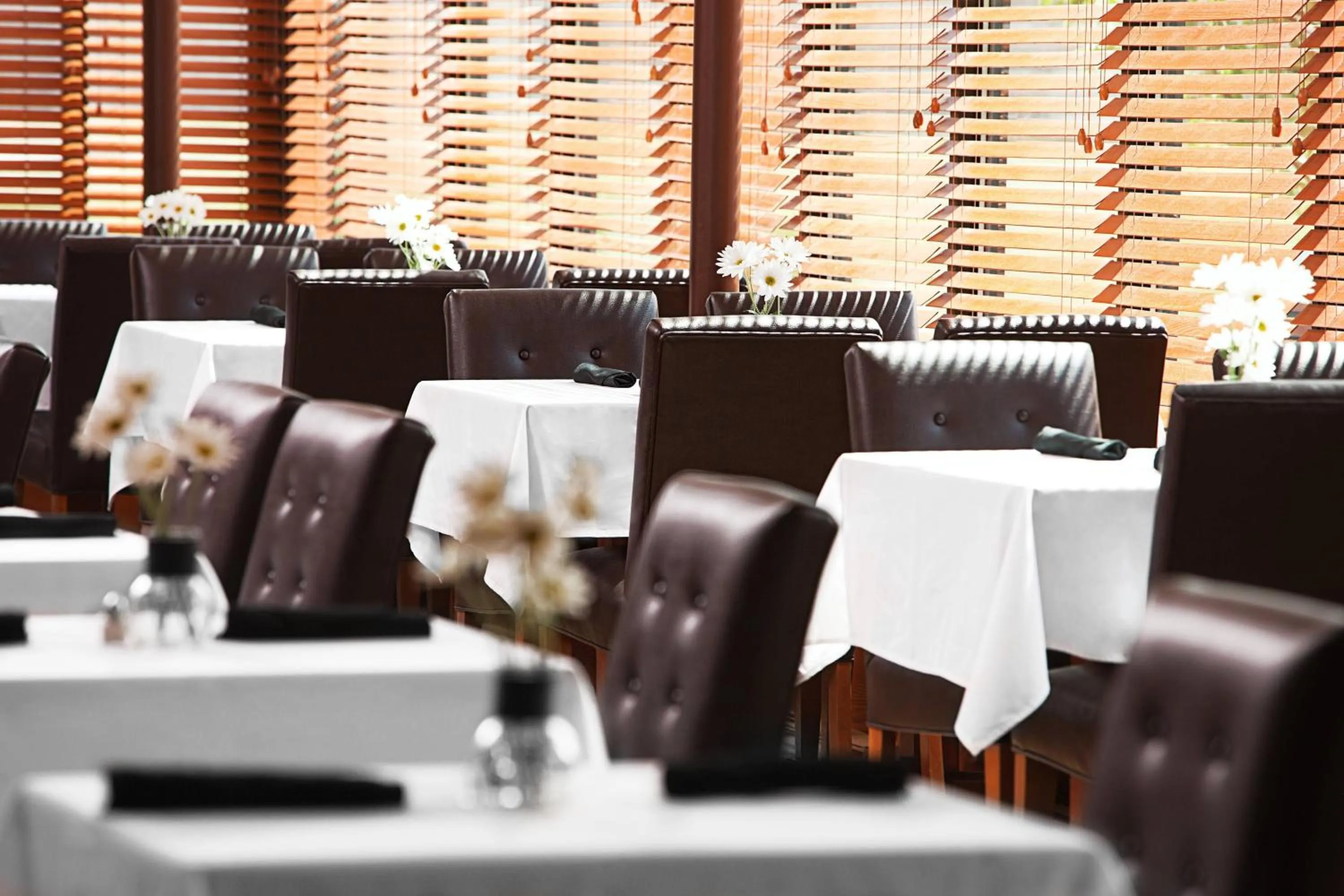 Restaurant/places to eat in Four Points by Sheraton Mall of America Minneapolis Airport