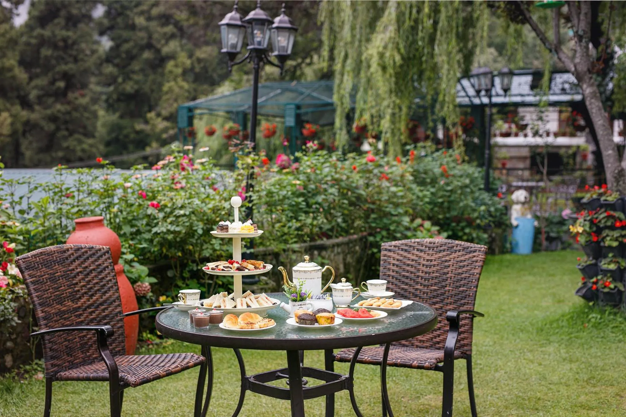 Shervani Hilltop Resort