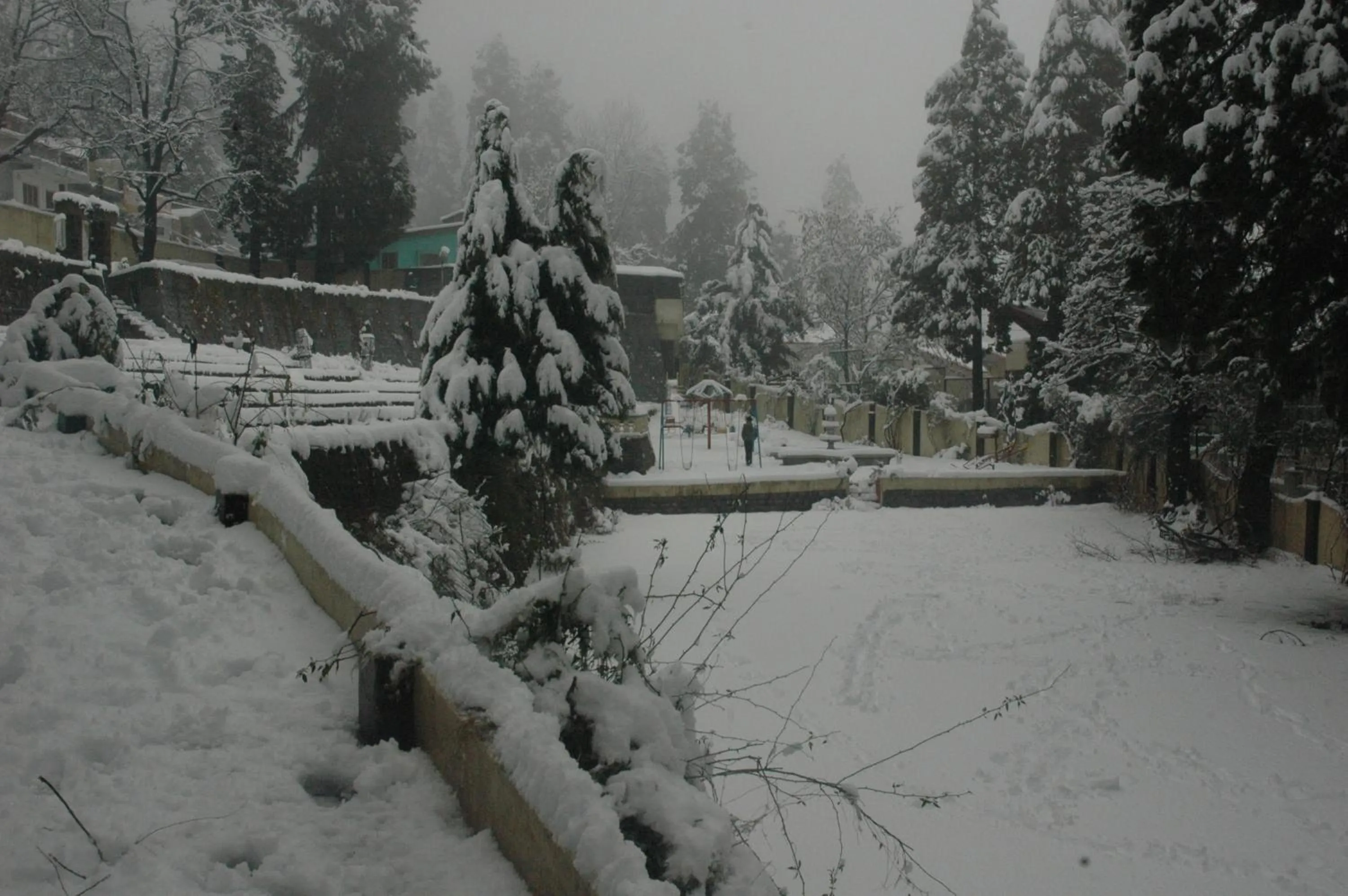 Winter in Shervani Hilltop Resort