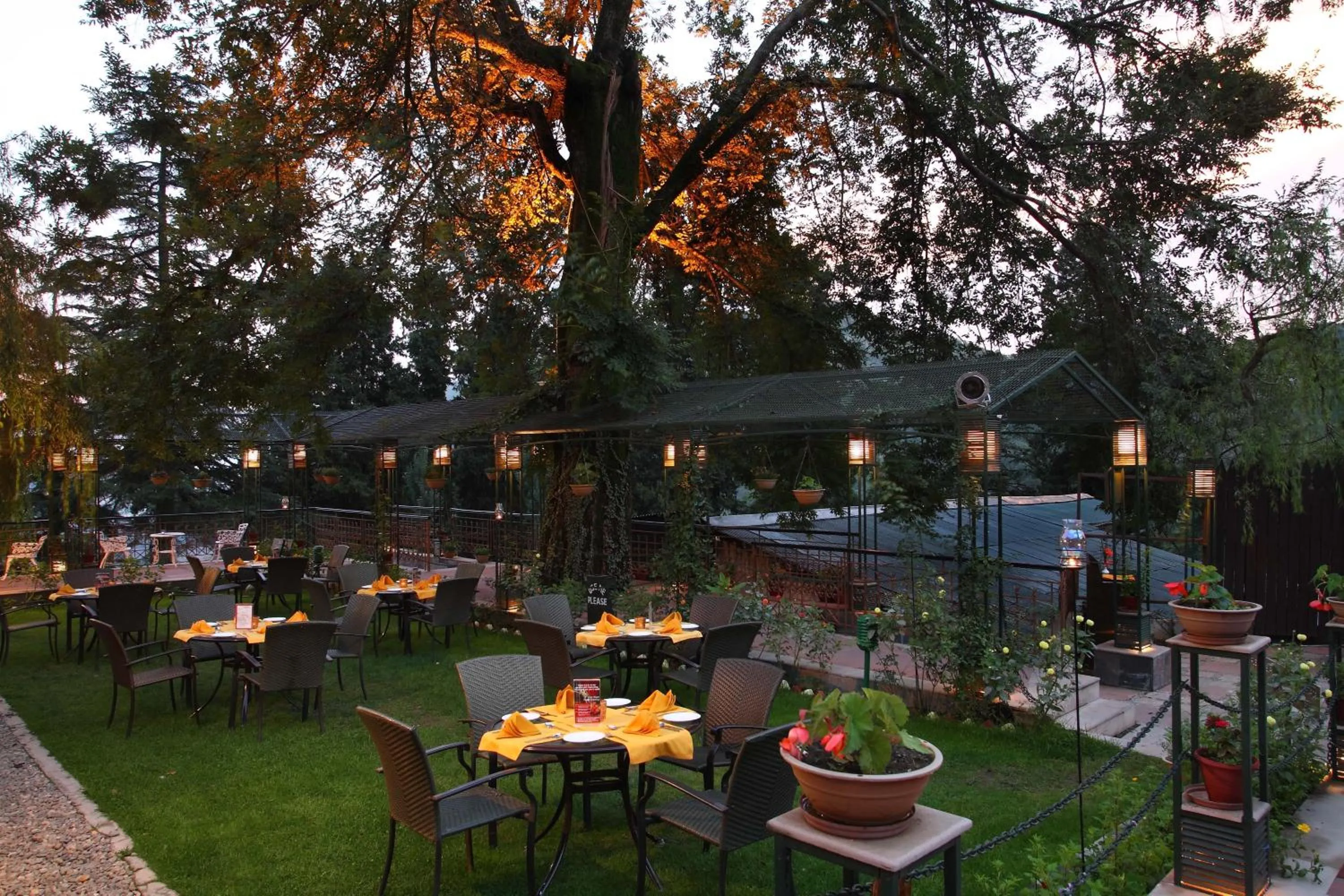 Restaurant/places to eat in Shervani Hilltop Resort