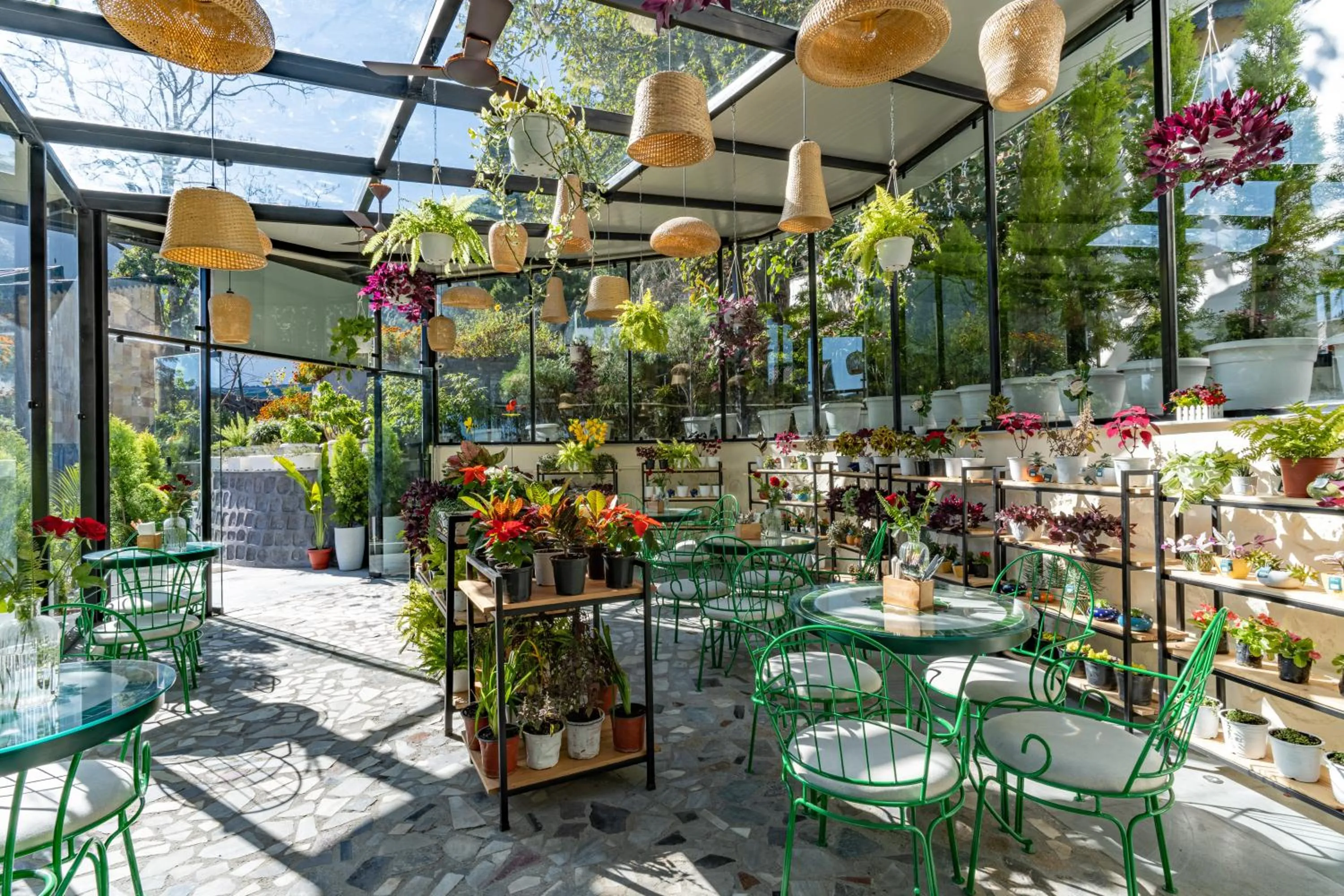 Restaurant/places to eat in Shervani Hilltop Resort