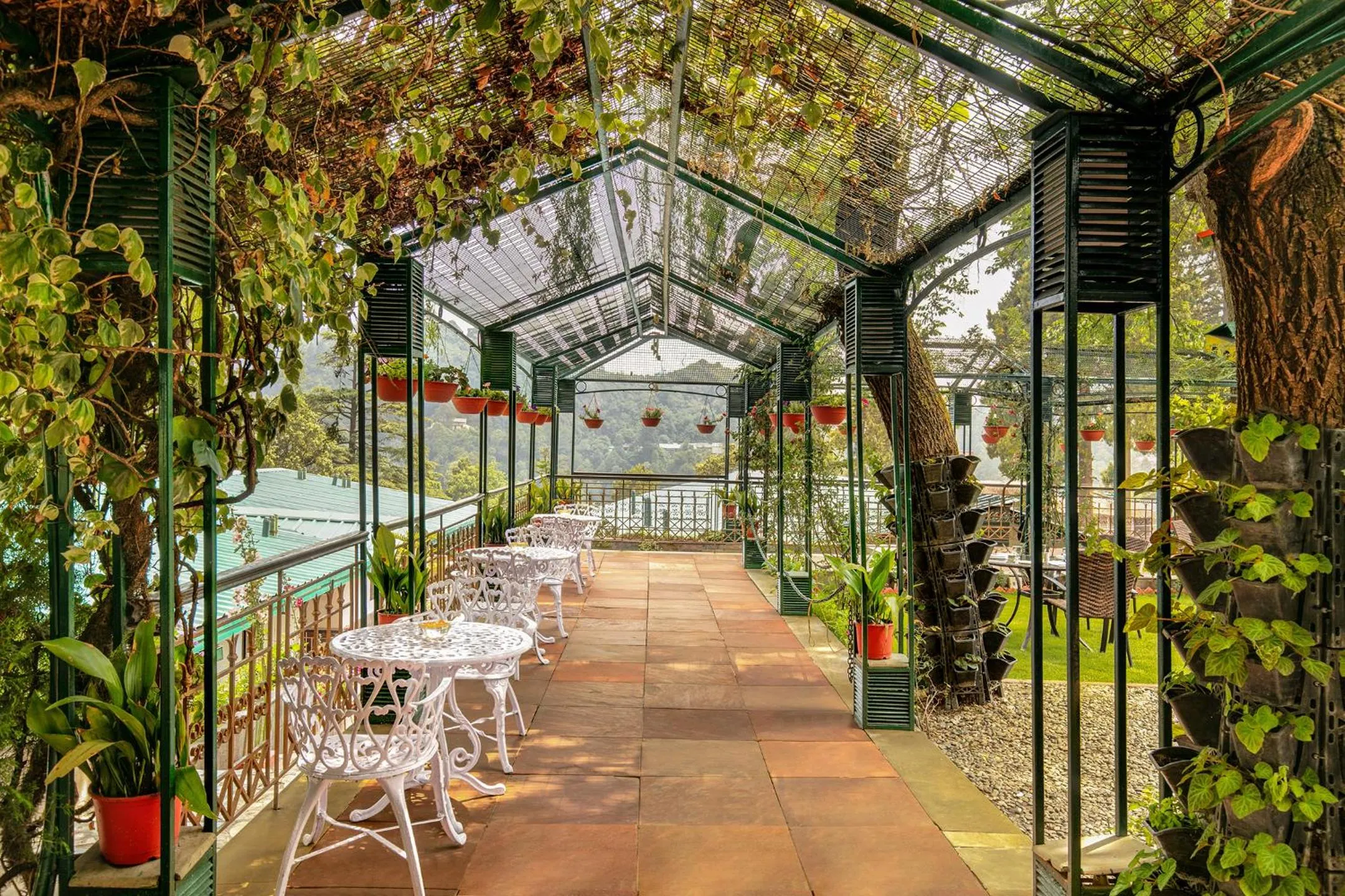 Garden in Shervani Hilltop Resort