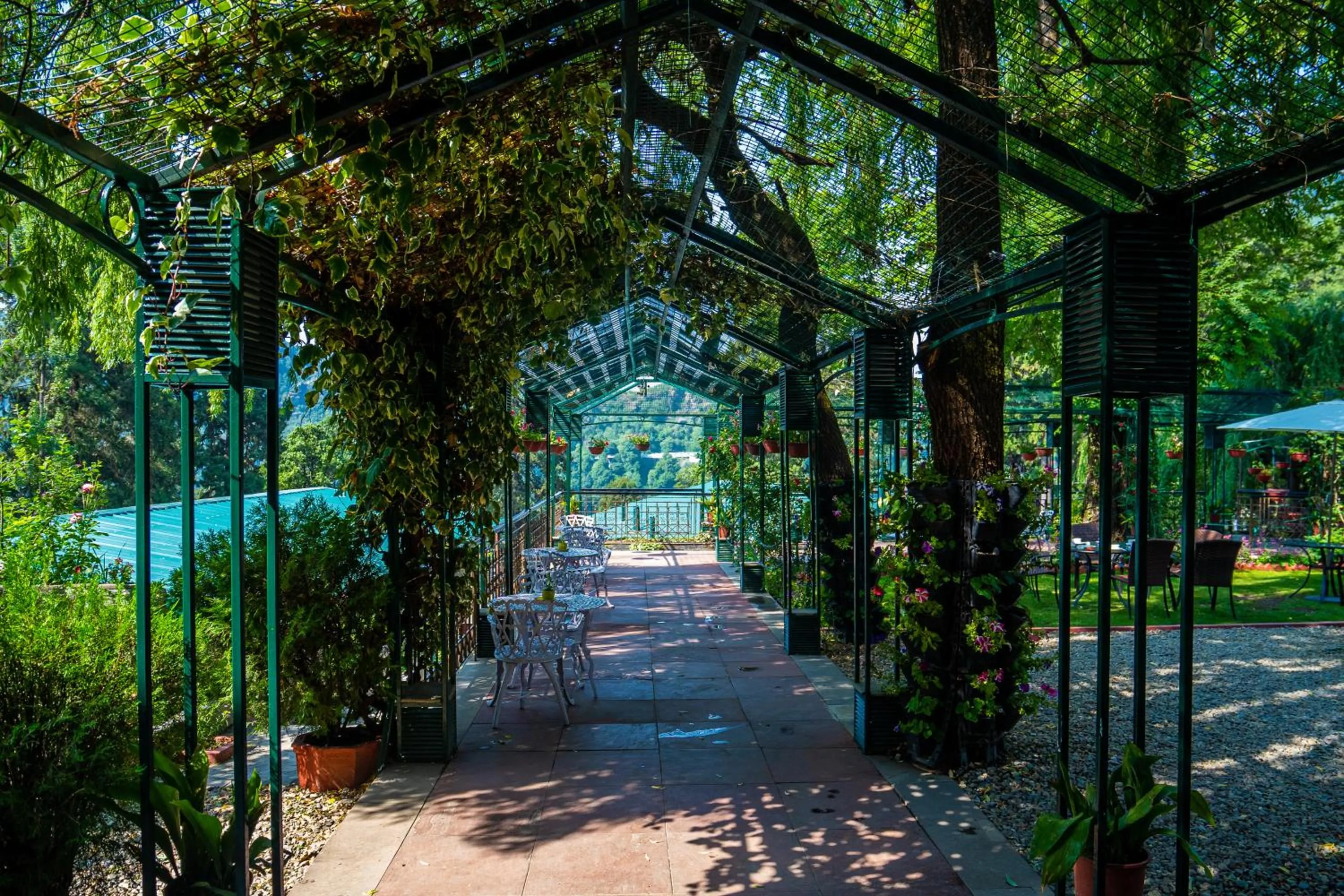 Garden in Shervani Hilltop Resort