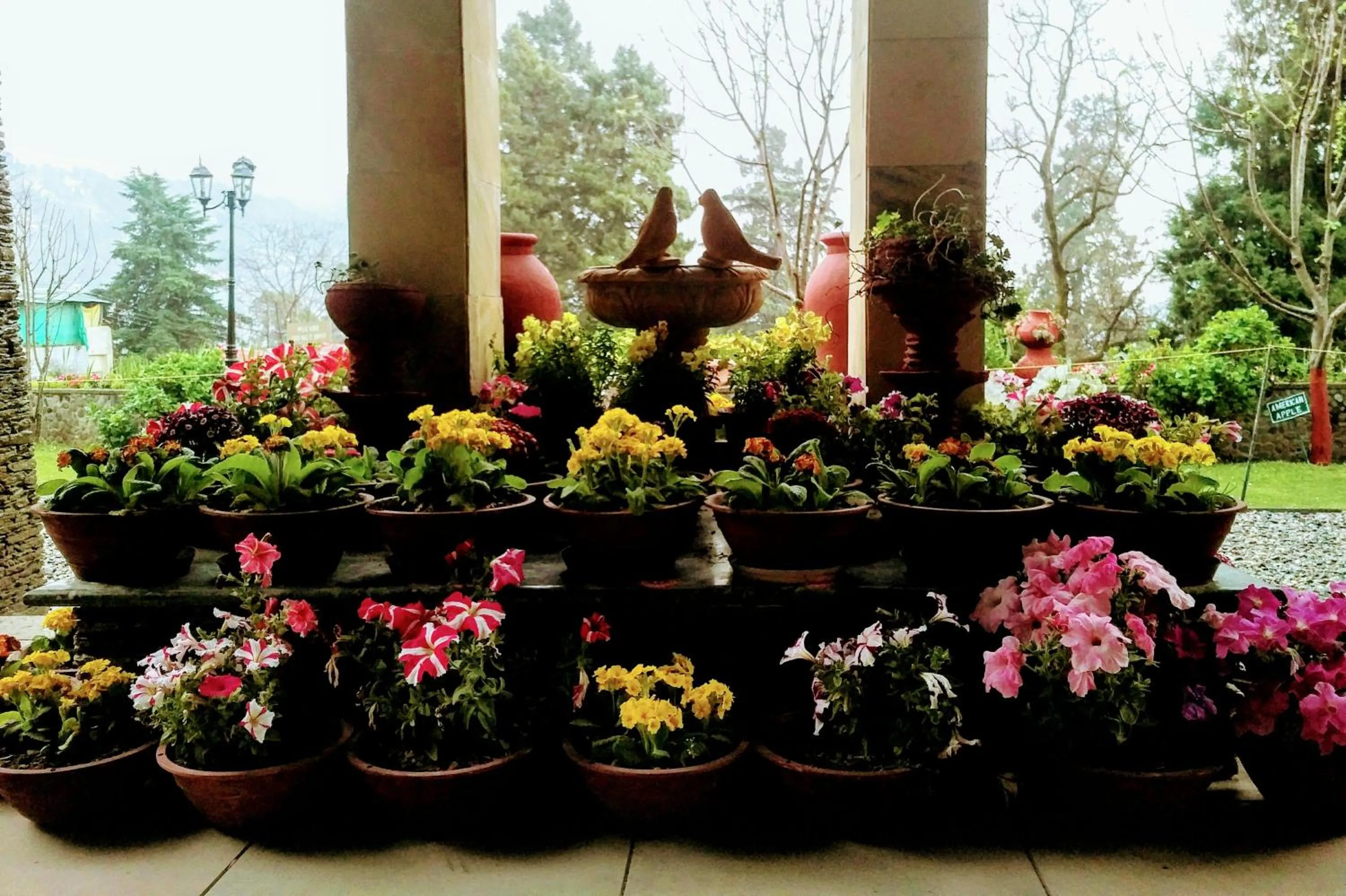 Facade/entrance in Shervani Hilltop Resort