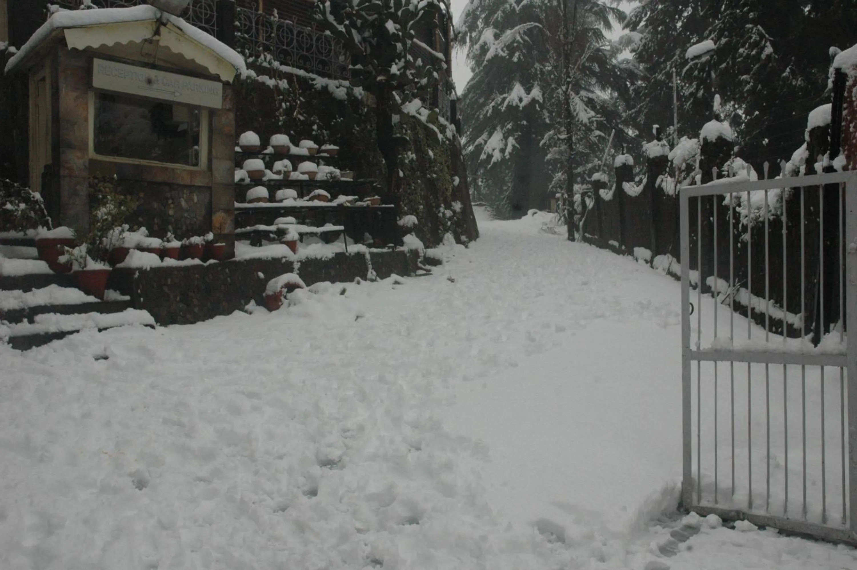 Winter in Shervani Hilltop Resort