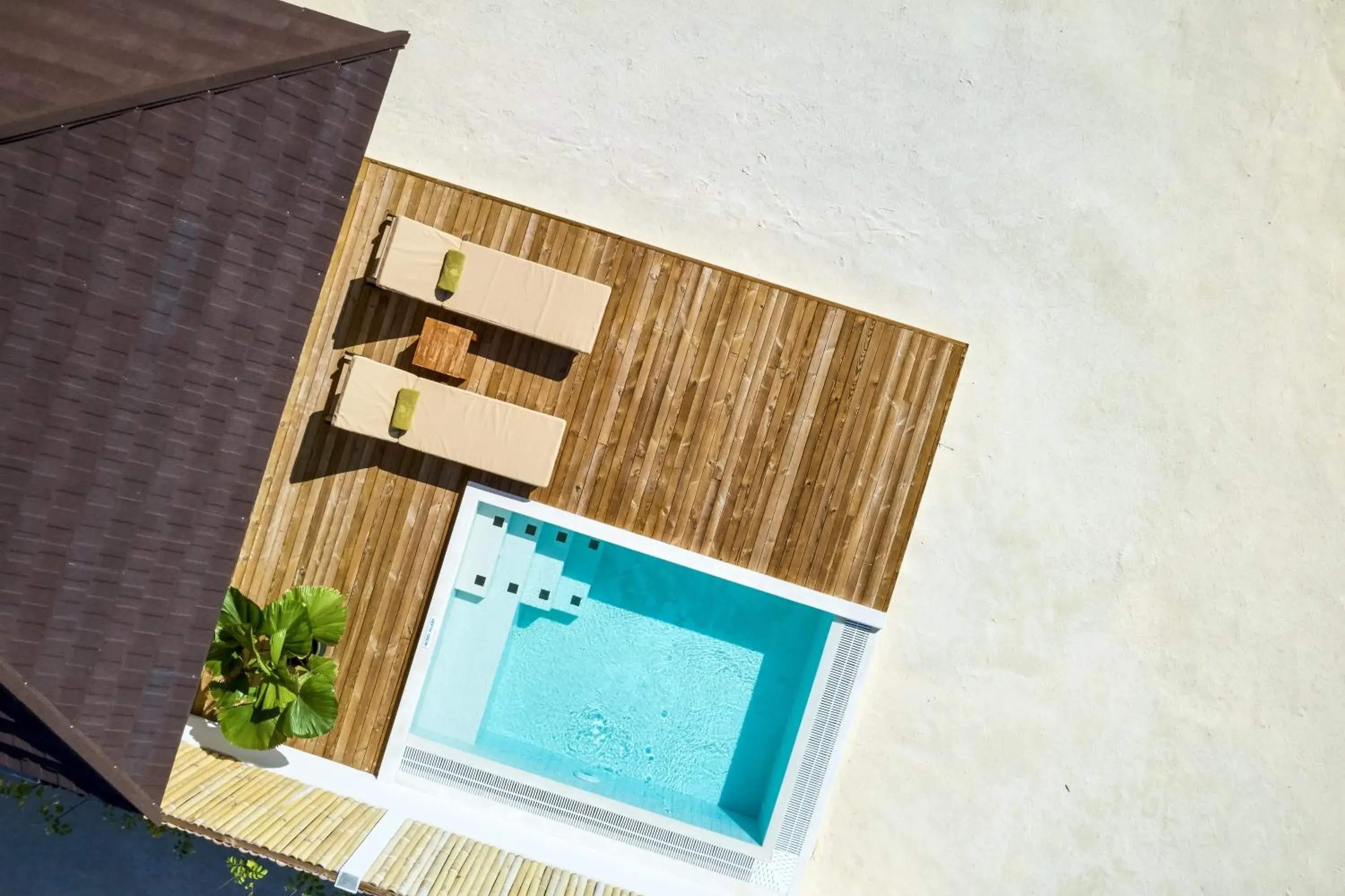 Grand Beach Villa with Pool - 50% Discount on Return Airport transfers, free 45 mins SPA for 2 Adults with min 3-nights stay Applicable for bookings made from 02nd June, 2025, stay period till 22nd Dec, 2025 in Sun Siyam Olhuveli Grand Beach Villa with Pool - 50% Discount on Return Airport transfers, free 45 mins SPA for 2 Adults with min 3-nights stay Applicable for bookings made from 02nd June, 2025, stay period till 22nd Dec, 2025 in Sun Siyam Olhuveli