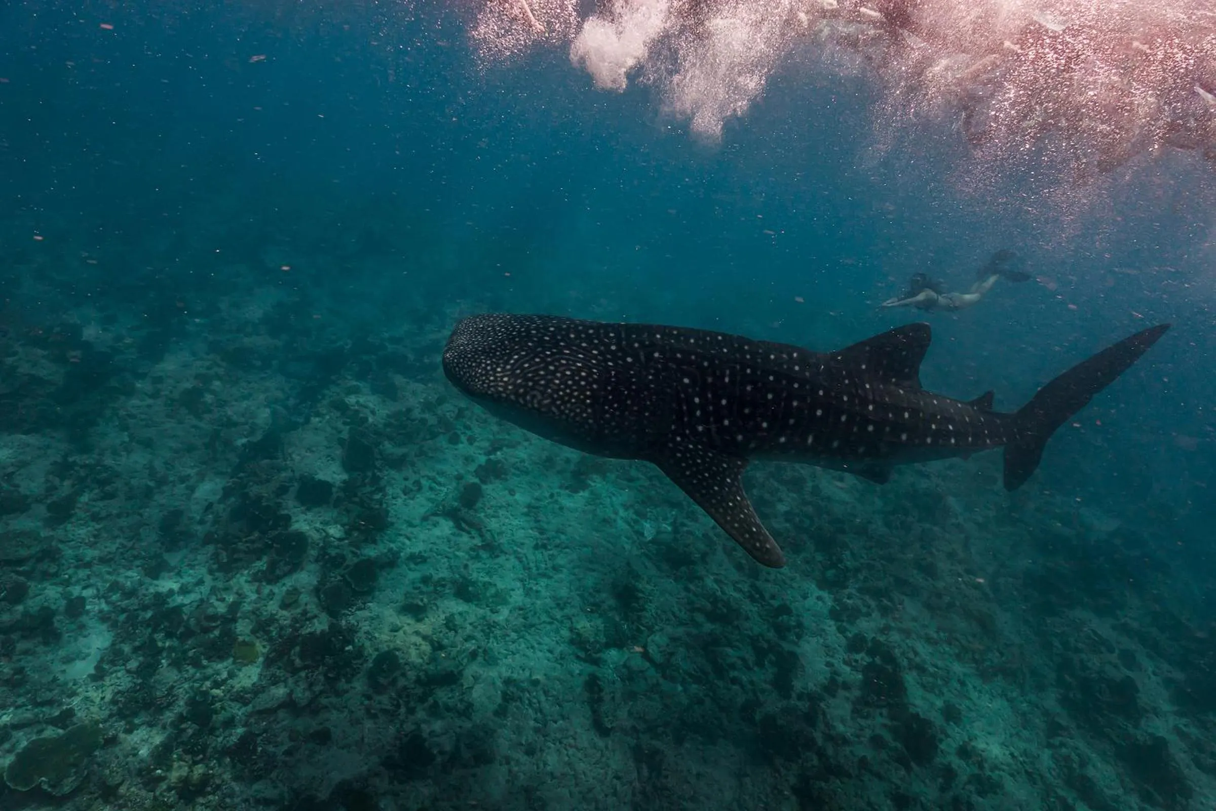Activities in Sun Siyam Olhuveli