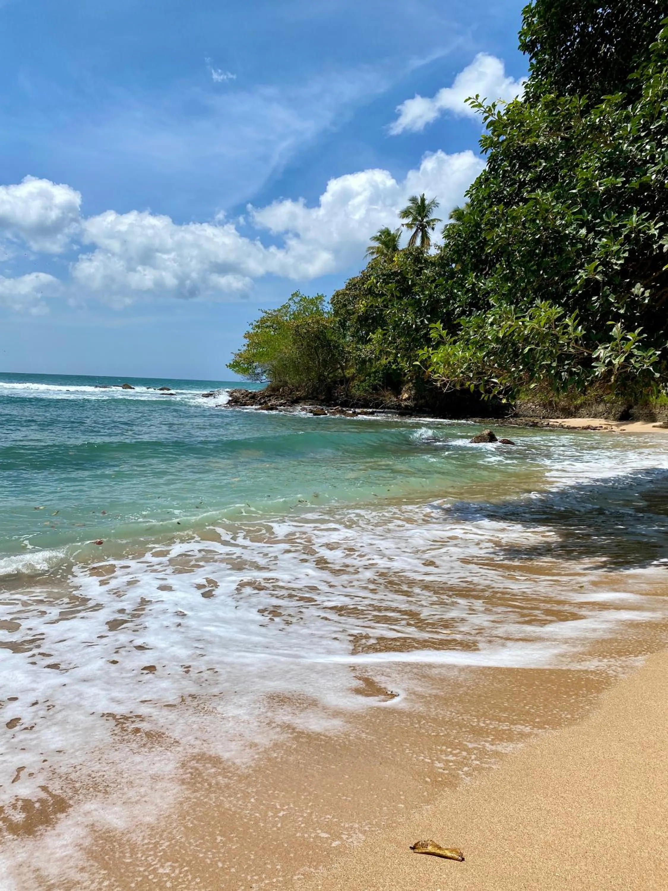 Grand Conch 4 BR Villa -3 Min walk to the beaches