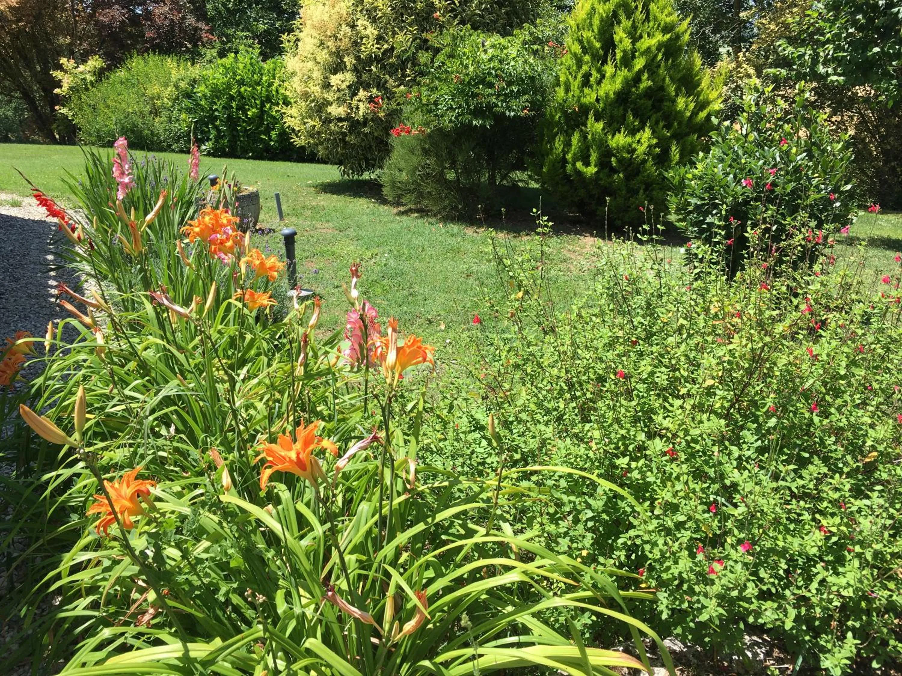 Garden in La Ferme Buissonnière