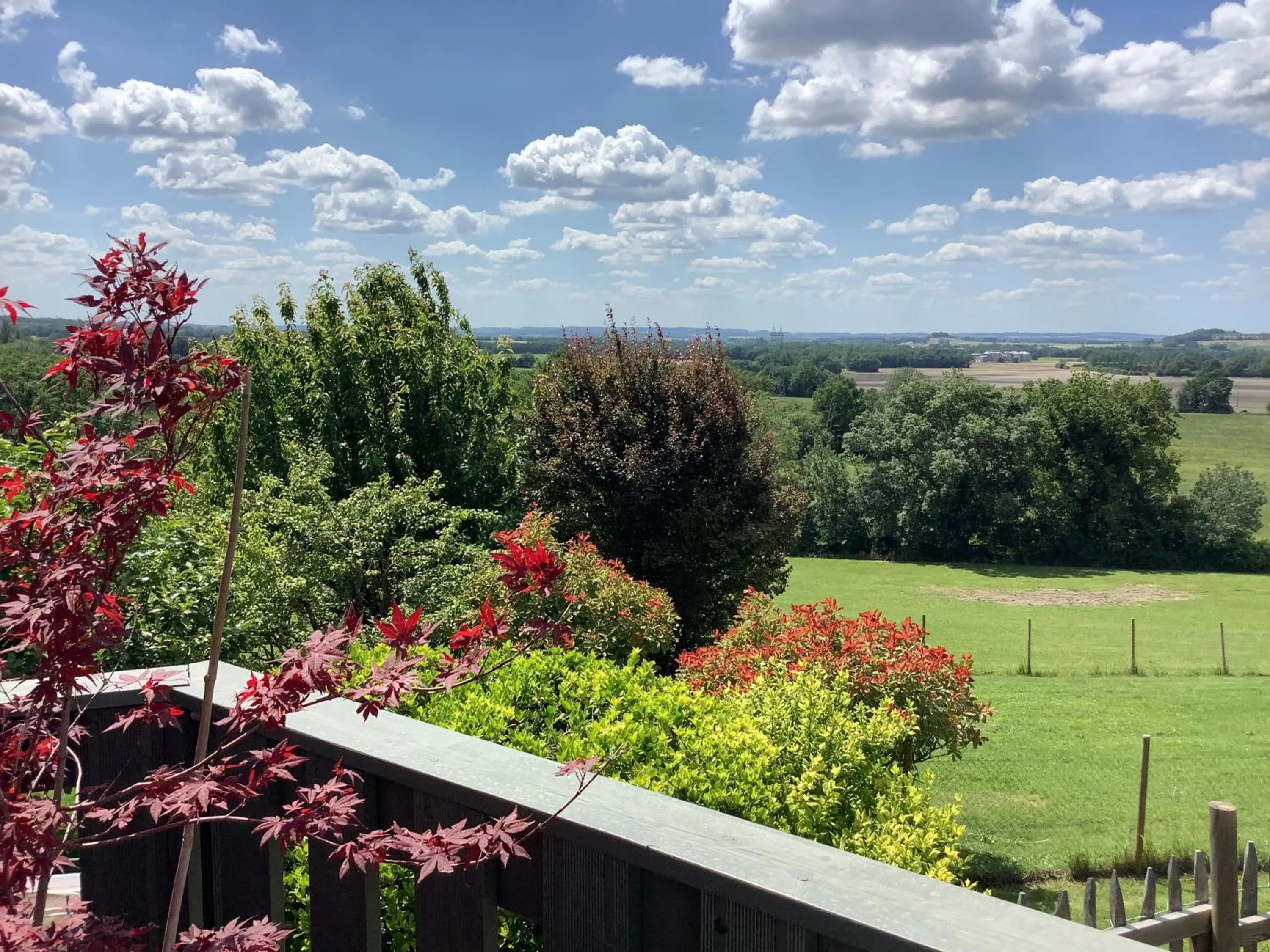 Garden view in La Ferme Buissonnière
