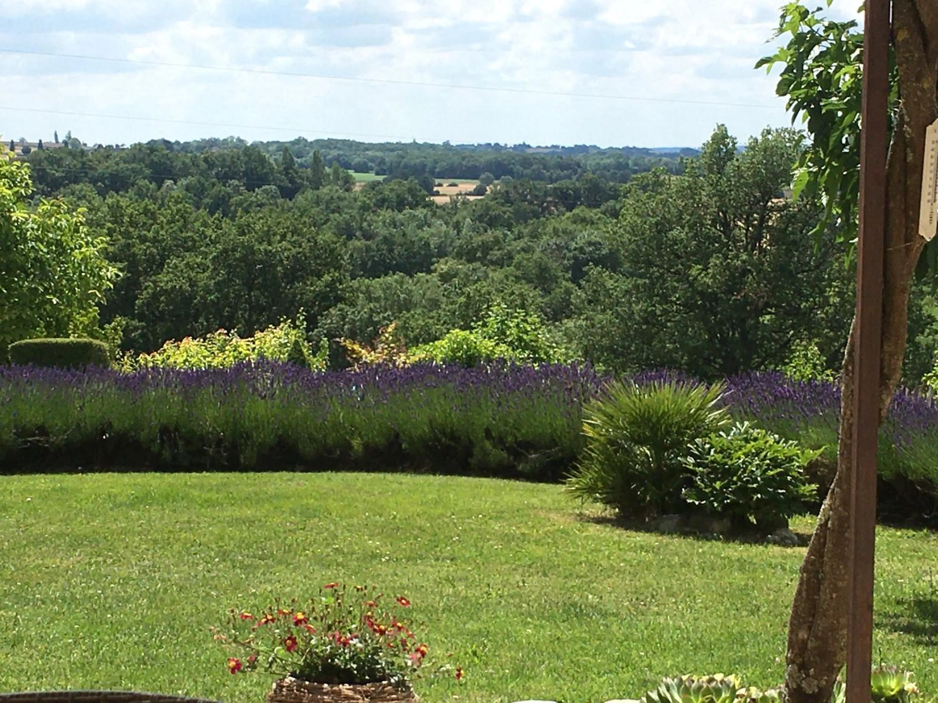 Garden in La Ferme Buissonnière