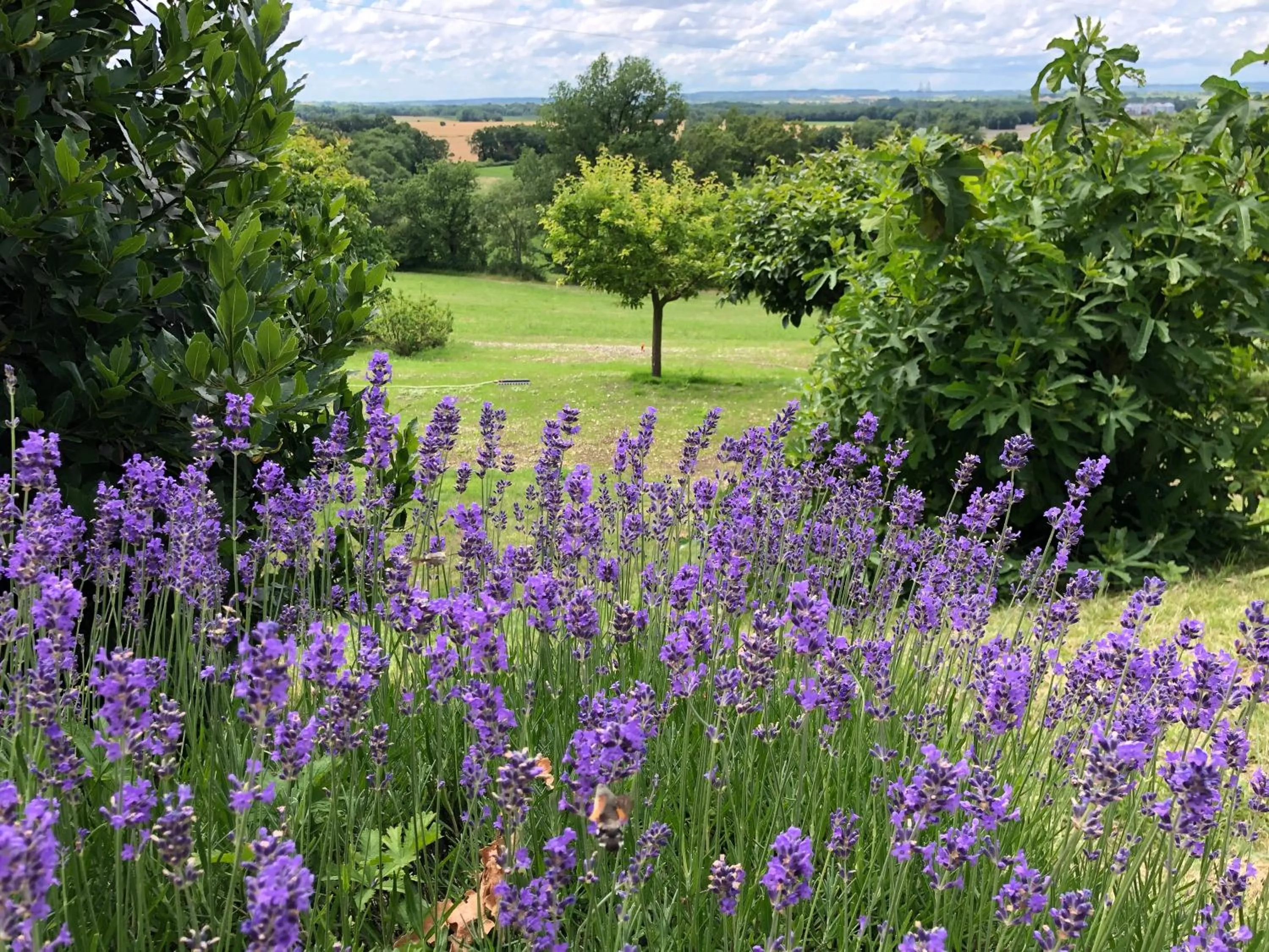 Garden in La Ferme Buissonnière