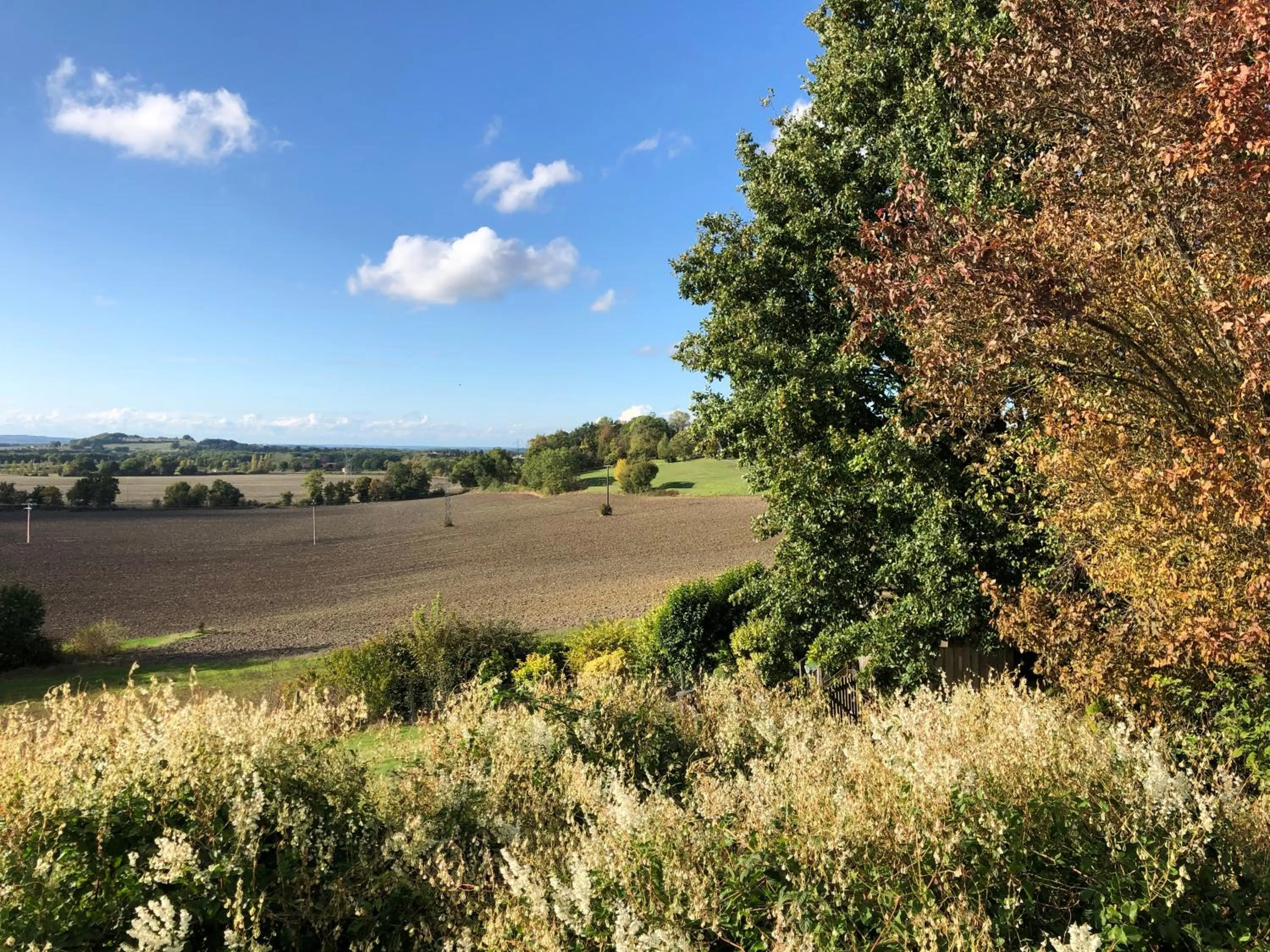 Natural landscape in La Ferme Buissonnière