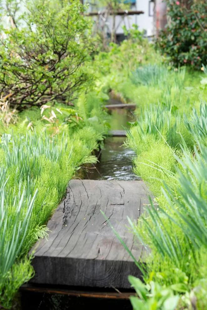 Noka Minshuku Sanzen