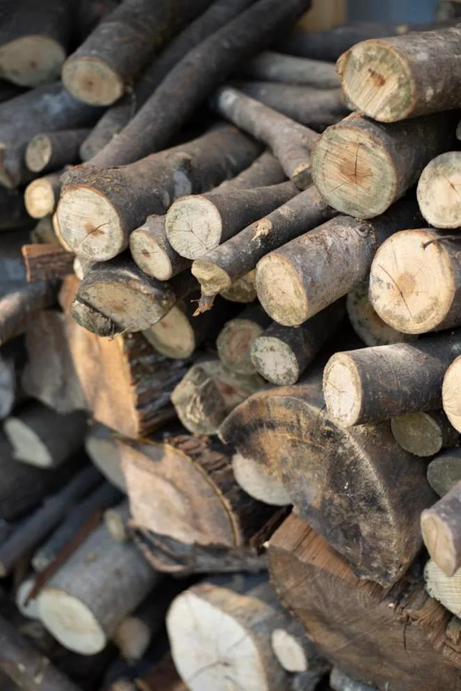 Noka Minshuku Sanzen